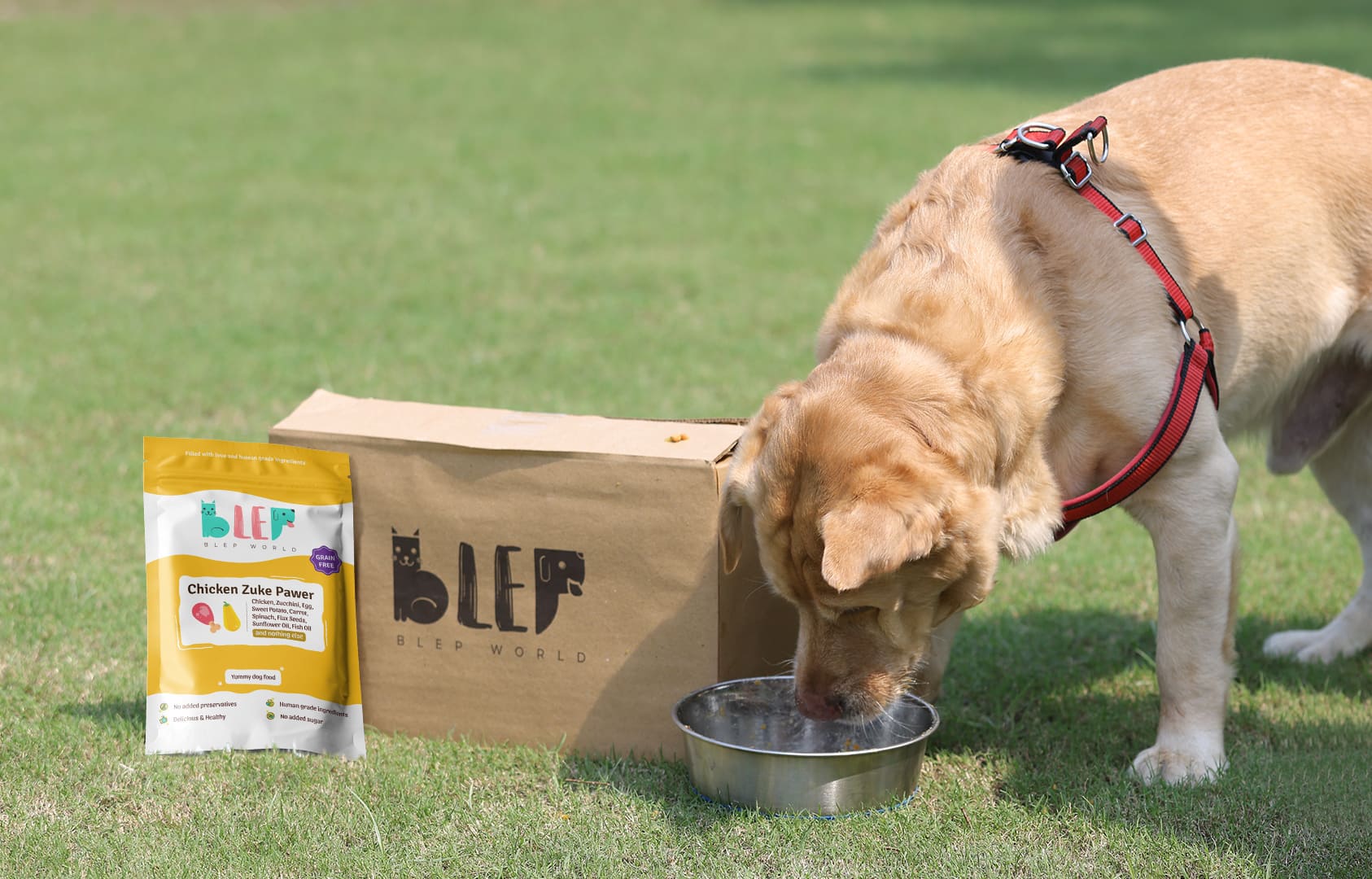 Human food clearance good for puppies