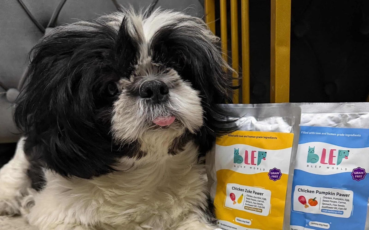Gluten-Free vs Grain-Free Dog Food in India: What the Difference Actually Means