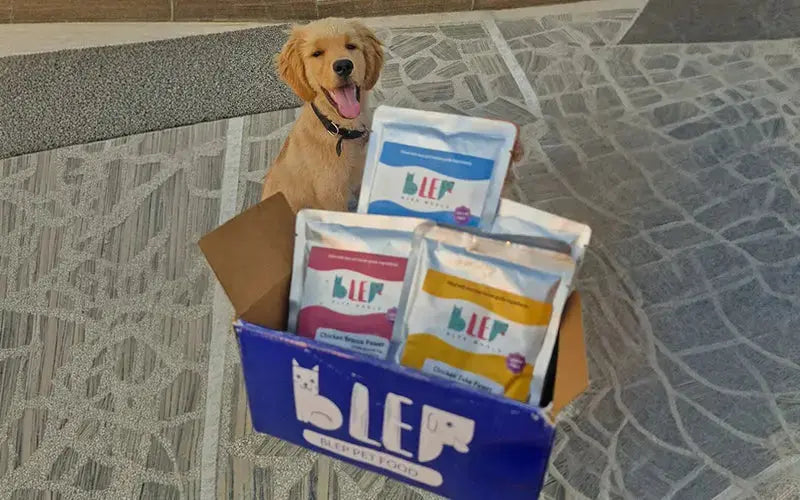 Best fresh dog food for dogs in India