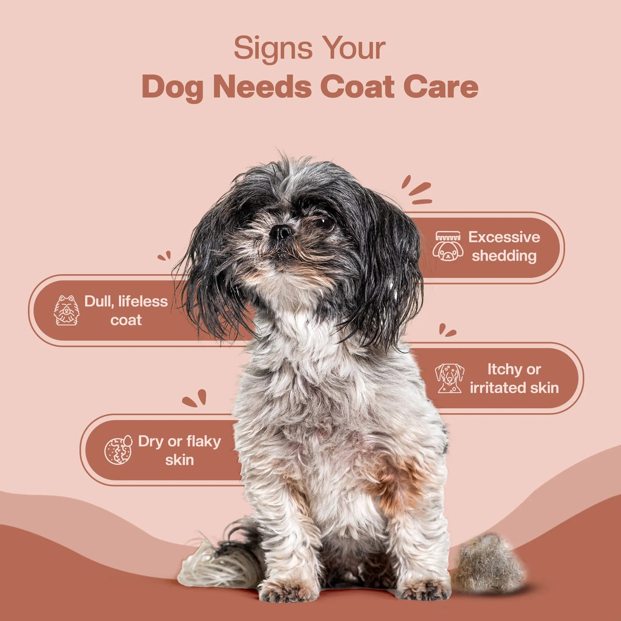 SUPER Coat Care | Daily Supplements for Dogs