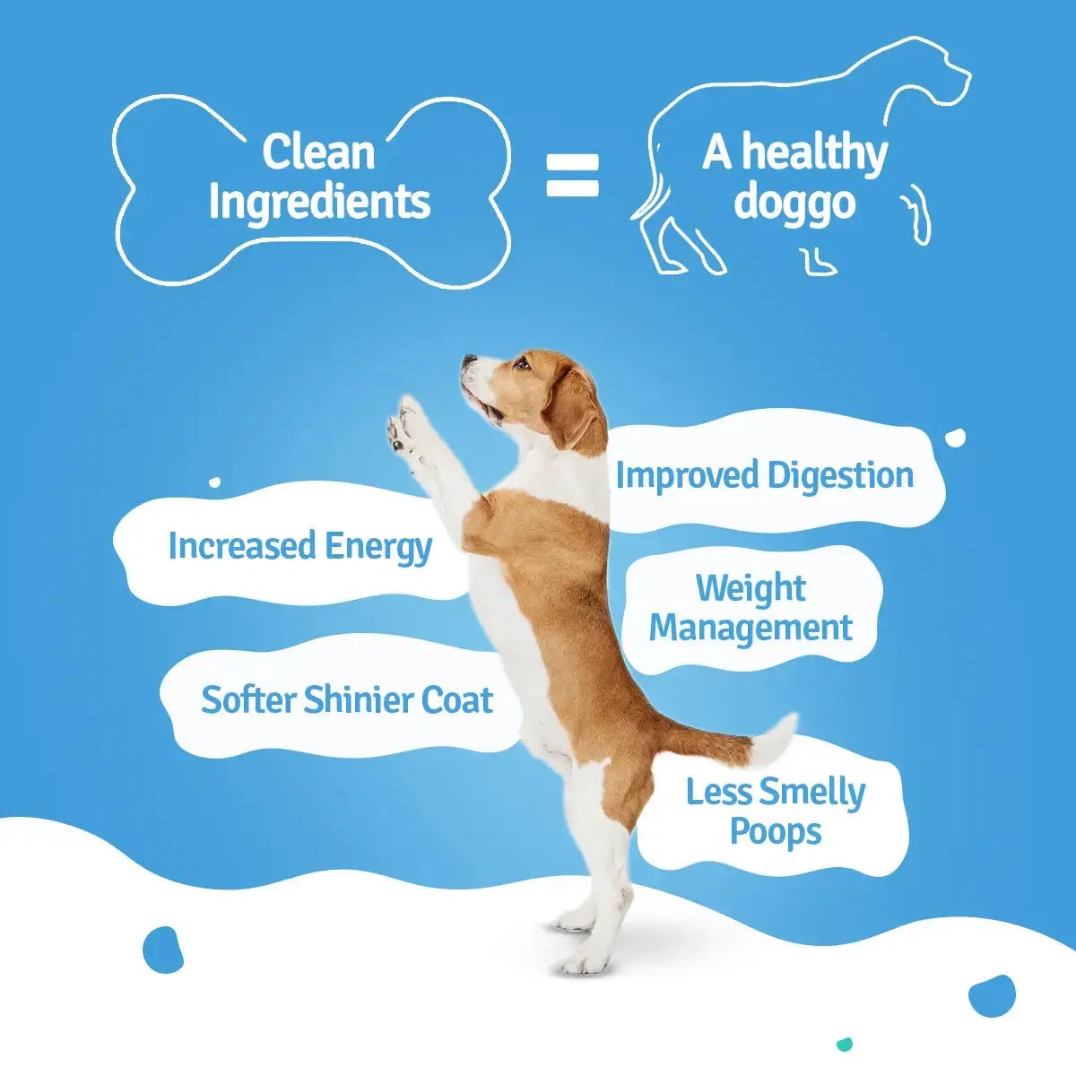 Monthly Pack of Chicken Pumpkin Fresh Dog Food BlepWorld