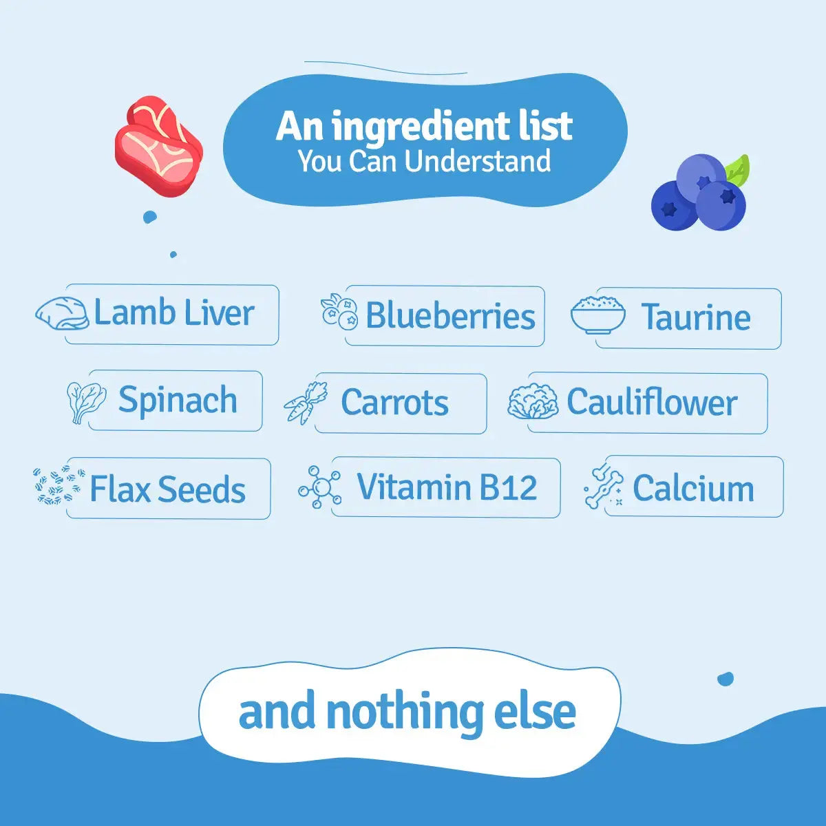 Lamb Blueberry Fresh Dog Food - Zero Preservatives BlepWorld