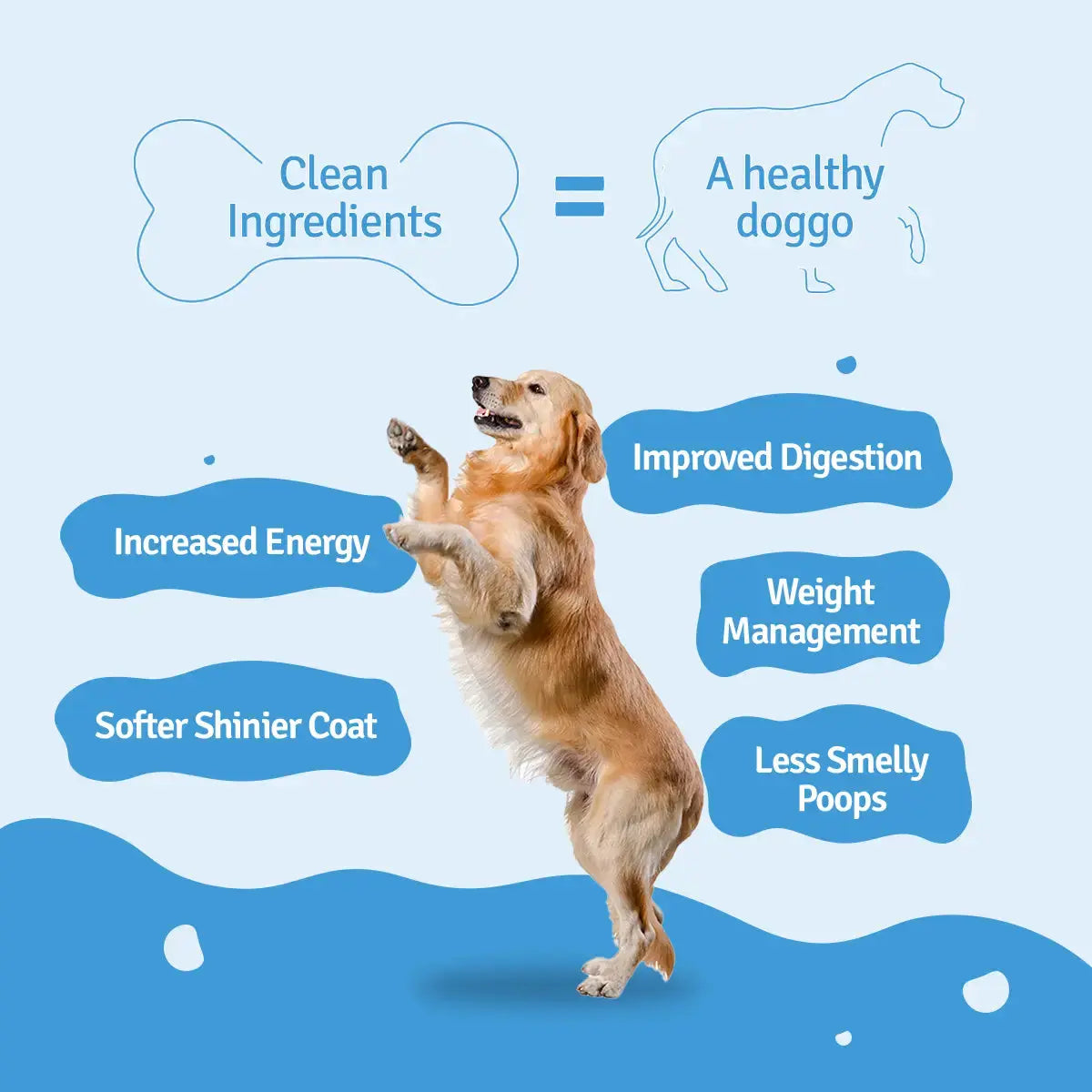 Paneer Quinoa Fresh Dog Food - No Preservatives BlepWorld