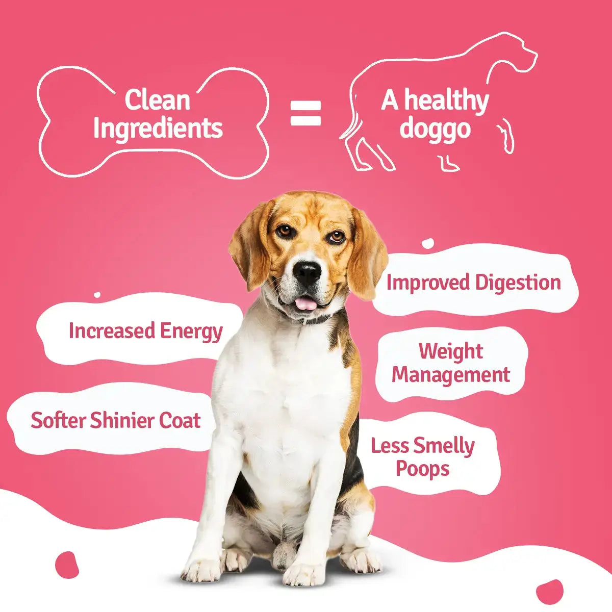 Monthly Pack of Chicken Broccoli Fresh Dog Food BlepWorld