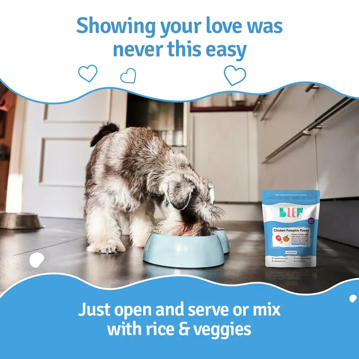 Chicken Pumpkin Fresh Dog Food - Zero Preservatives