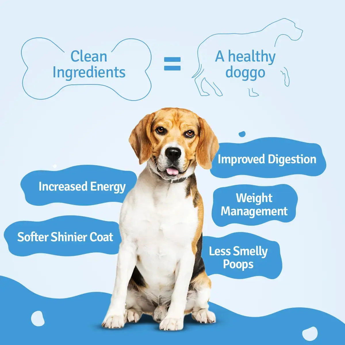 Monthly Pack of Chicken Broccoli Fresh Dog Food BlepWorld