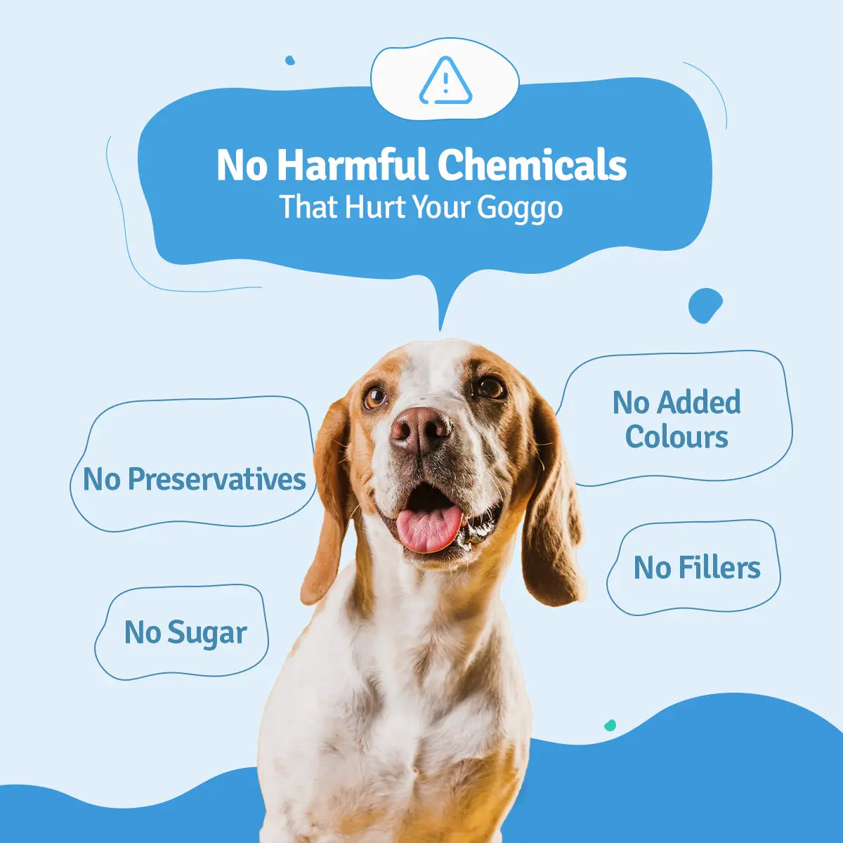 BLEP All-In-One Dog Food Trial Pack - Food, Broth & Treat