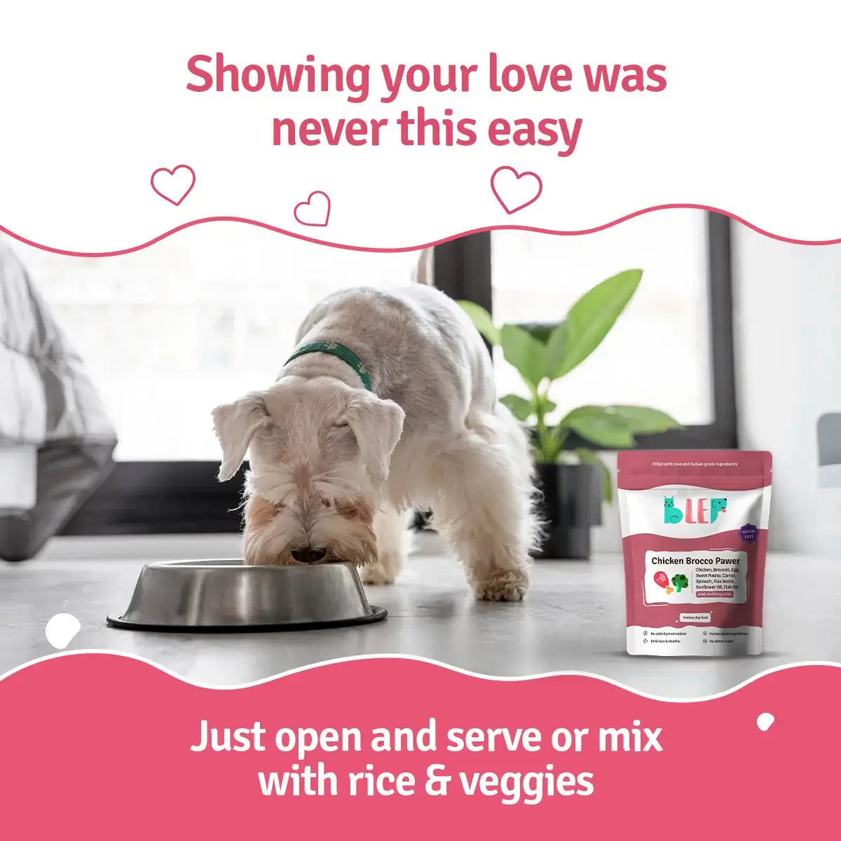 Monthly Pack of Chicken Broccoli Fresh Dog Food BlepWorld