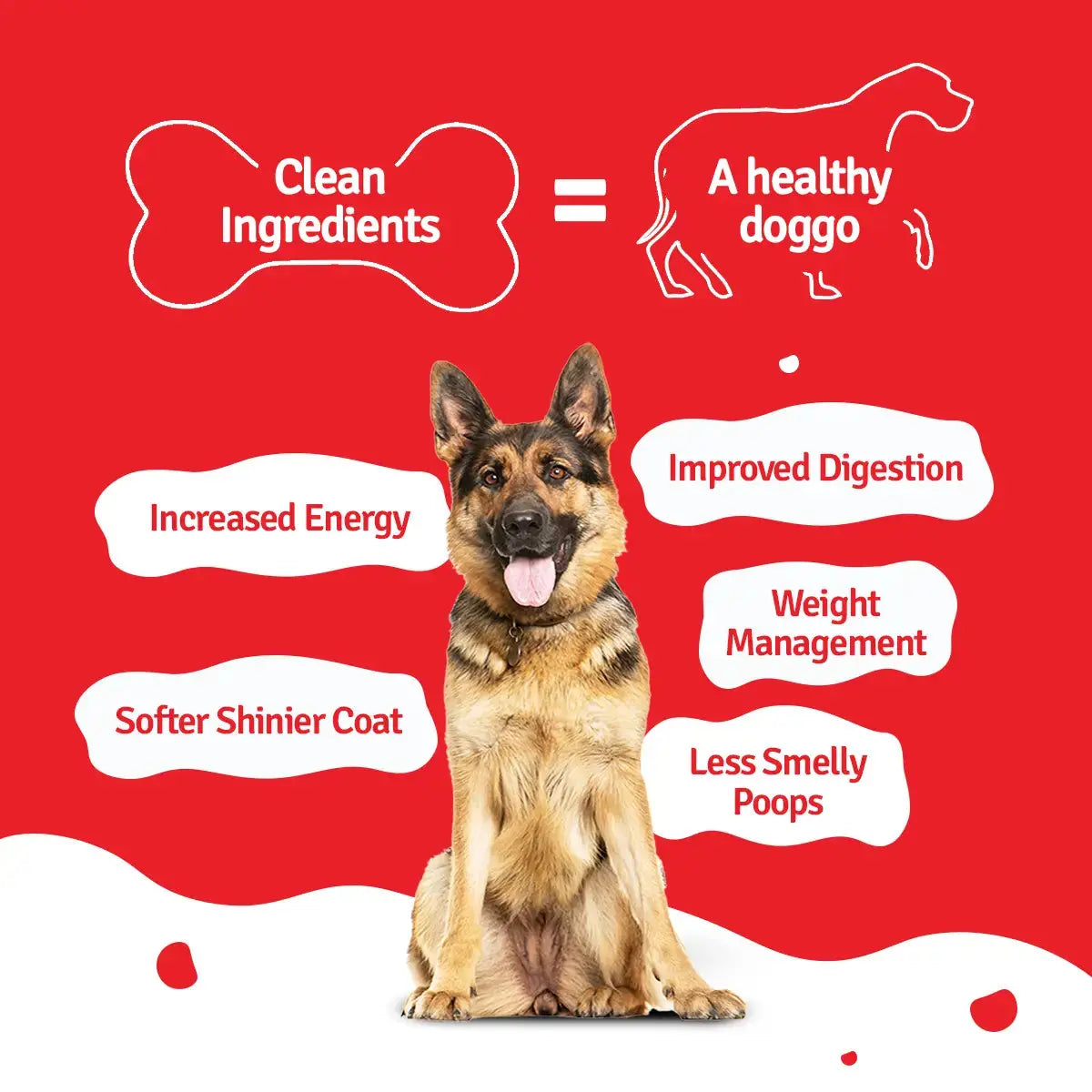 Monthly Pack of Lamb Blueberry Fresh Dog Food BlepWorld