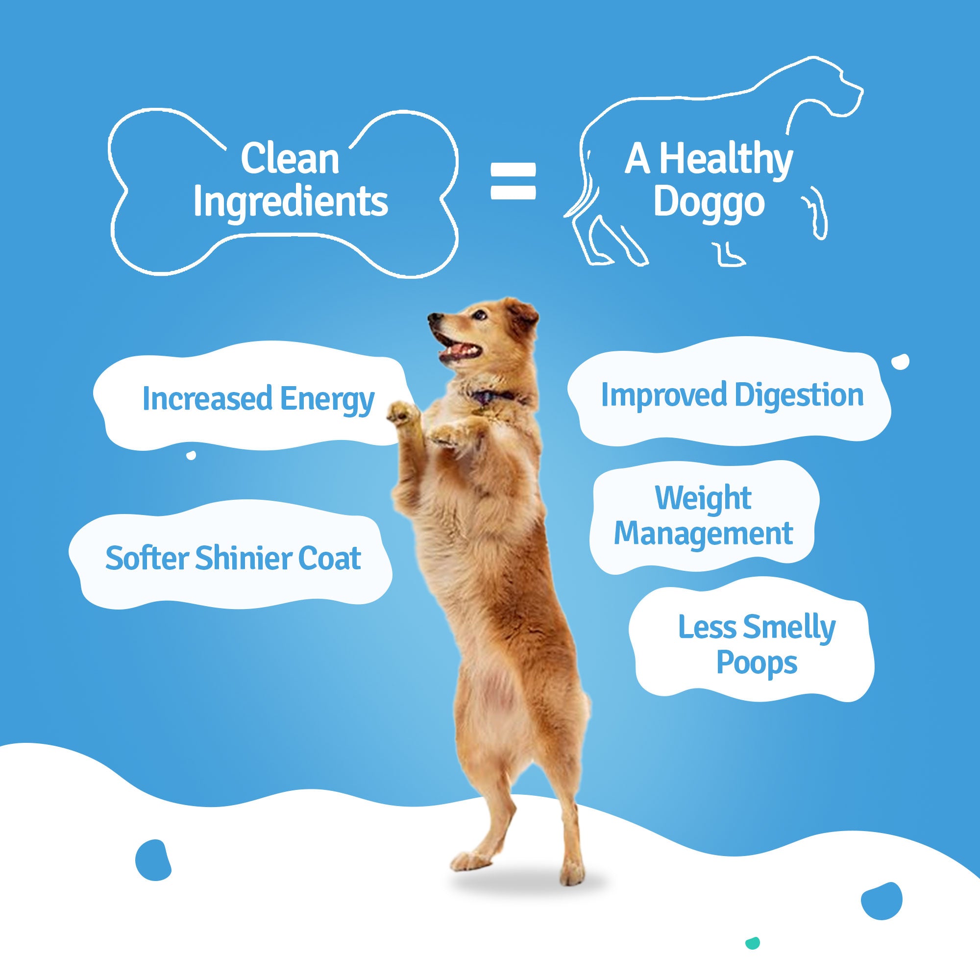 Monthly Pack of All Chicken Recipes of Fresh Dog Food (Pumpkin, Zucchini, Broccoli & Rice) - 28