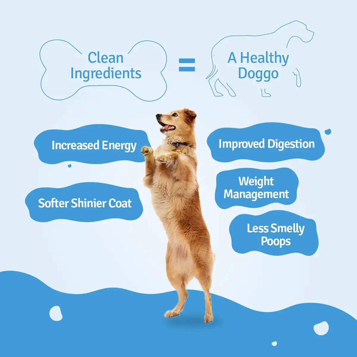 Monthly Pack of All Chicken Recipes of Fresh Dog Food (Pumpkin, Zucchini, Broccoli & Rice) - 28 BlepWorld