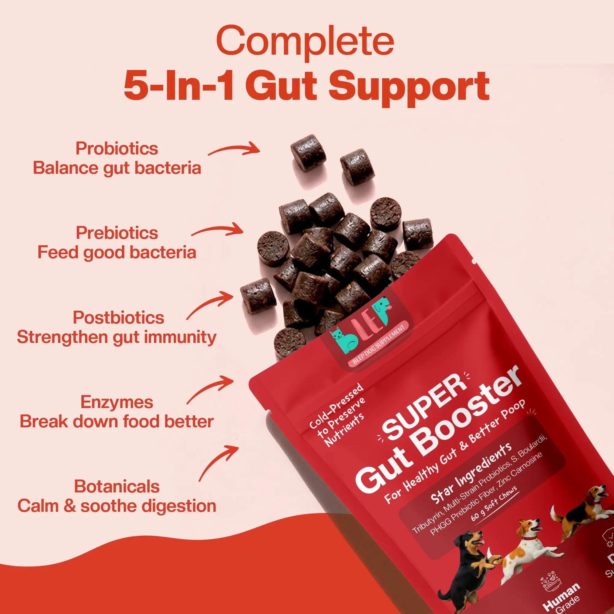 Red packaging of a super gut booster supplements for dogs with text detailing its benefits on a light pink background. Benefits includes balancing gut bacteria, feed good ones, strengthen gut immunity, break down food better and enables better digestion.