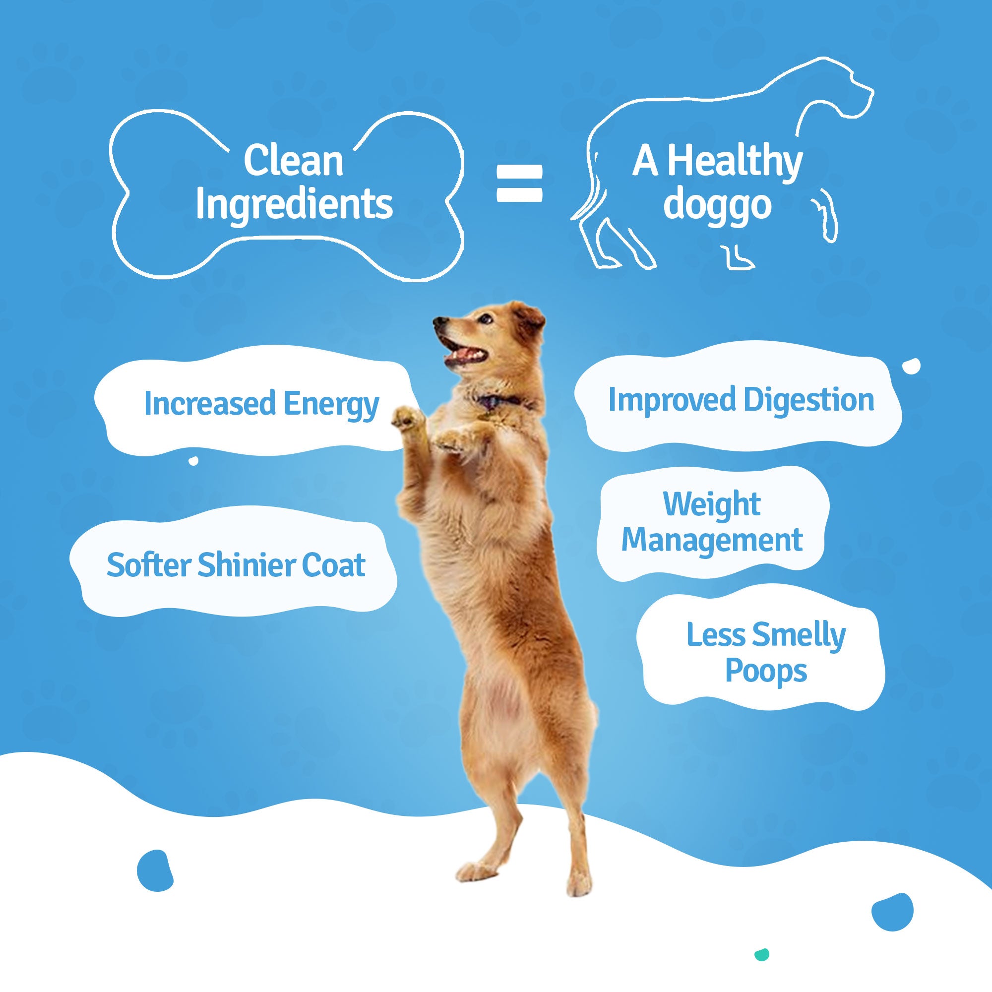 All Recipes Dog Food Trial Pack (Chicken, Lamb, Fish, Paneer)