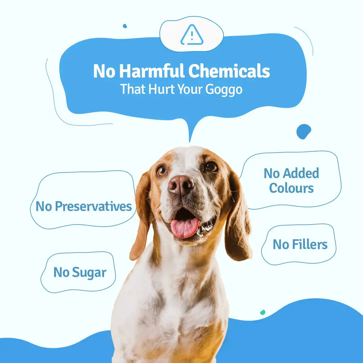 Monthly Pack of All Chicken Recipes of Fresh Dog Food (Pumpkin, Zucchini, Broccoli & Rice) - 28 BlepWorld