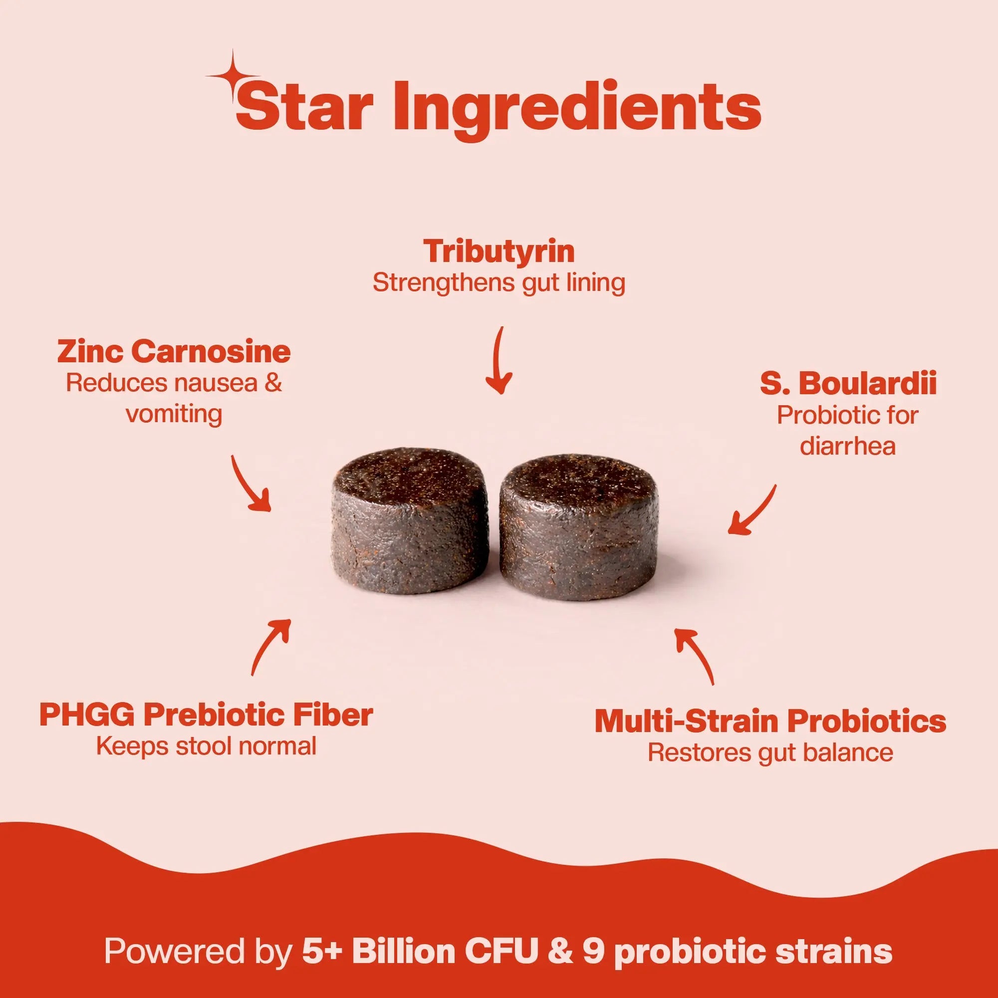 Star Ingredients product with labeled ingredients on a red and beige background