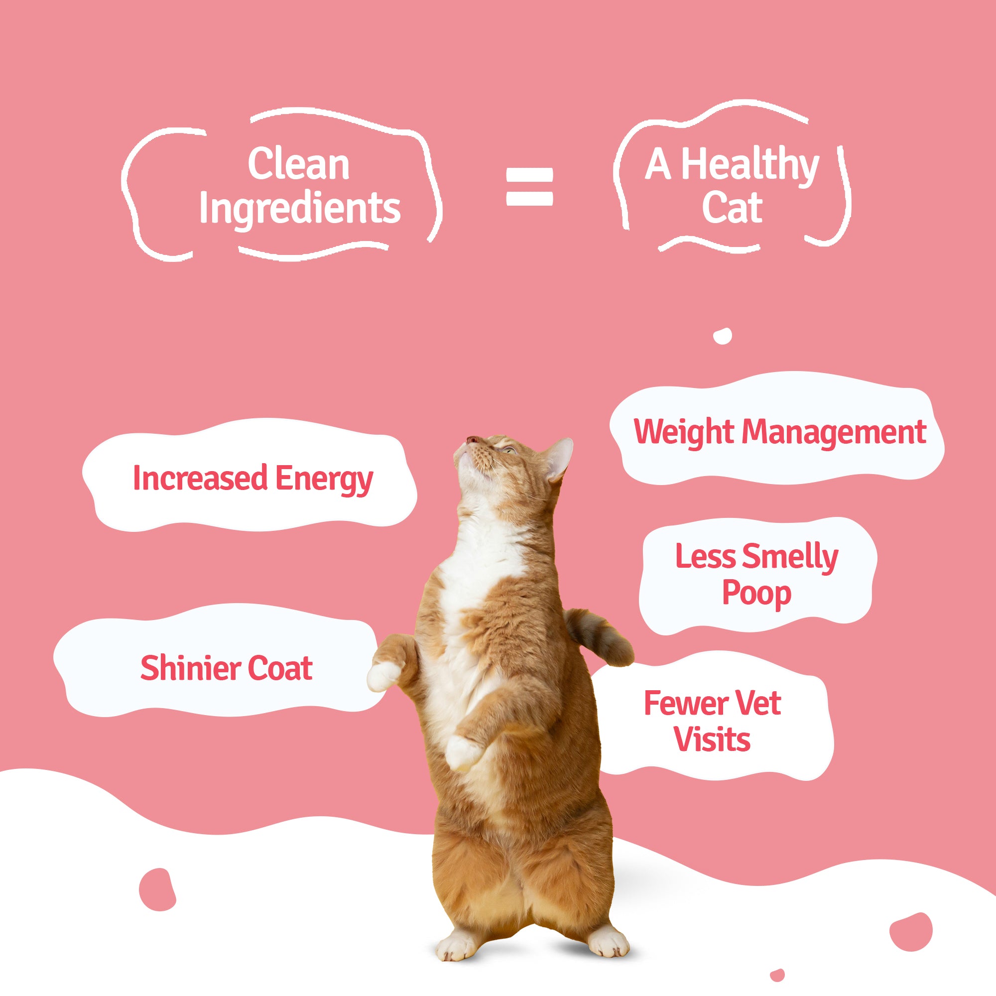 Ocean Mix Cat Food Trial Pack (Tuna, Mackerel, Sardine)