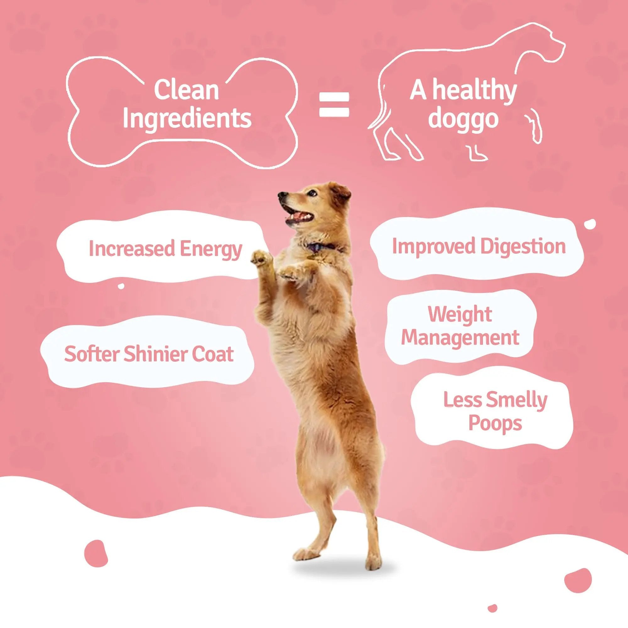 Blep World dog food Trial pack made with clean ingredients