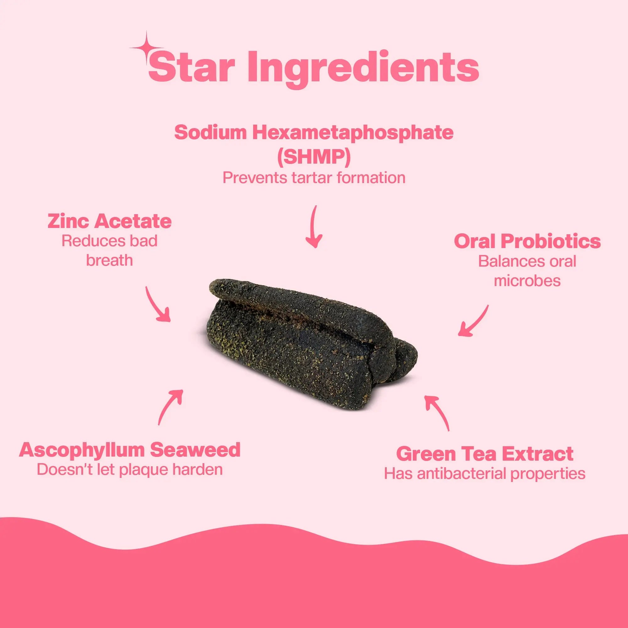 SUPER Oral Care | Daily Supplements for Dogs