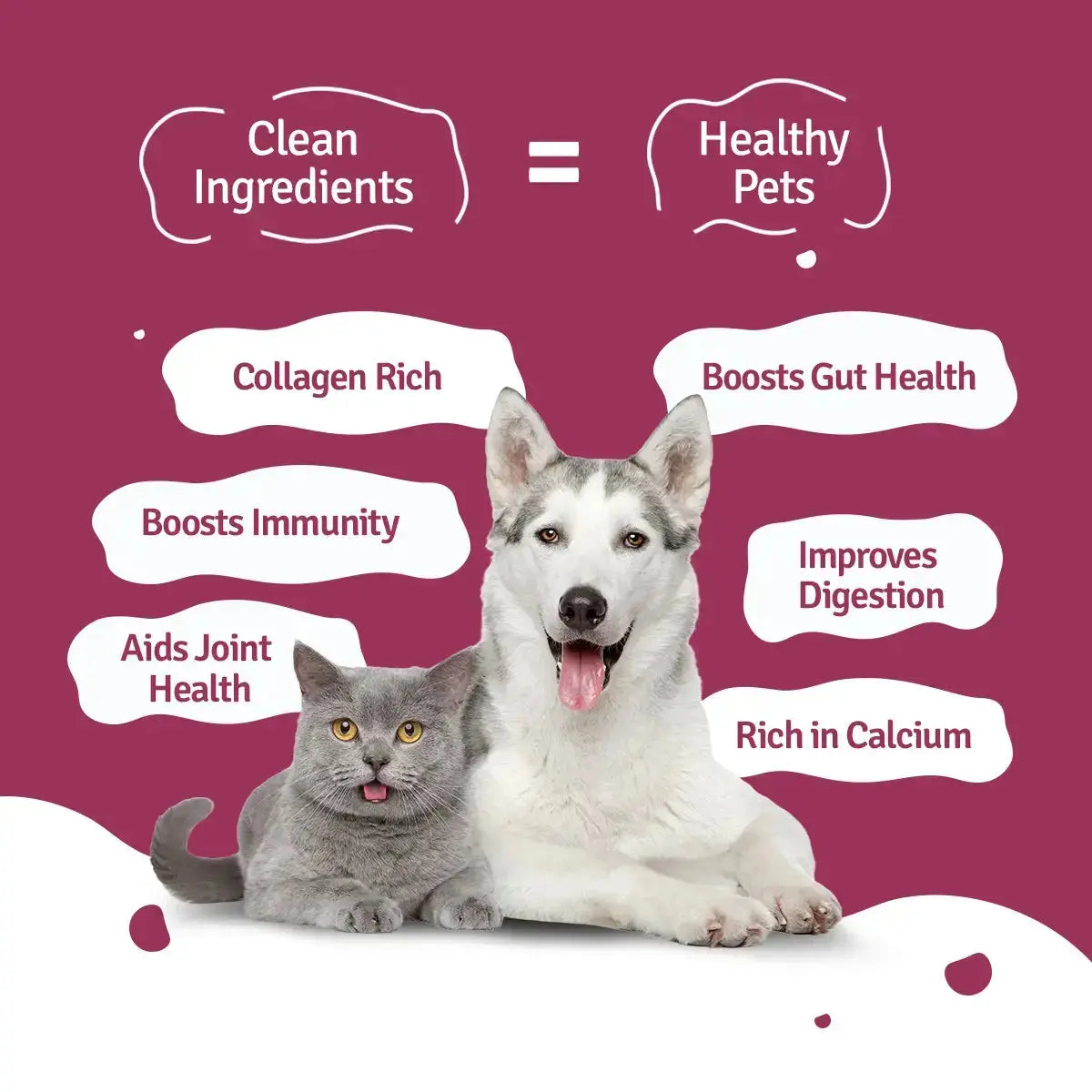 Lamb Broth for Cats & Dogs (Pack of 10&20) BlepWorld