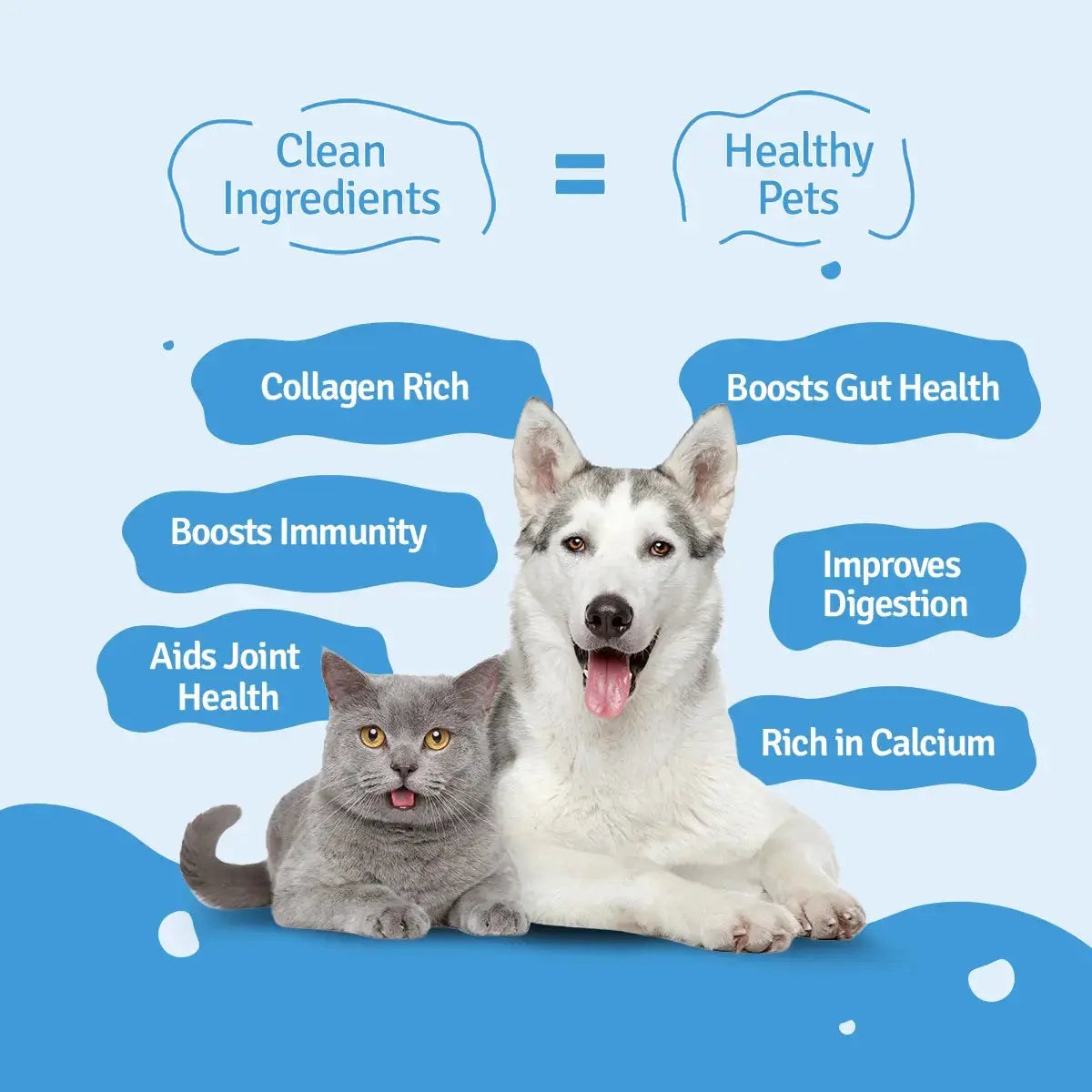 Chicken Broth for Cats & Dogs - 100 ml BlepWorld