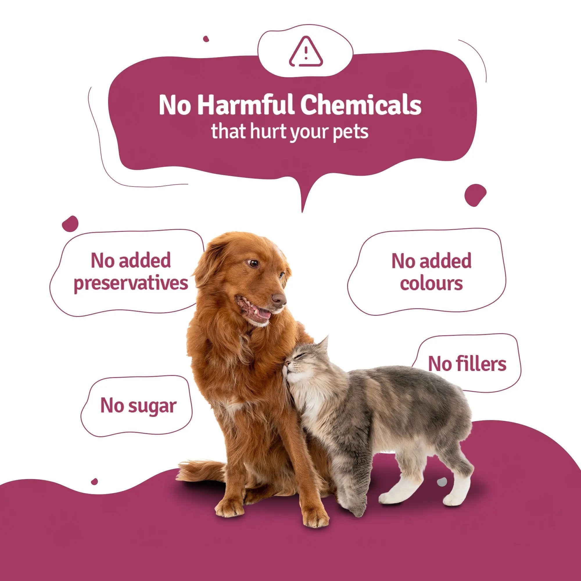 Chemicals free Lamb Broth for Cats & Dogs