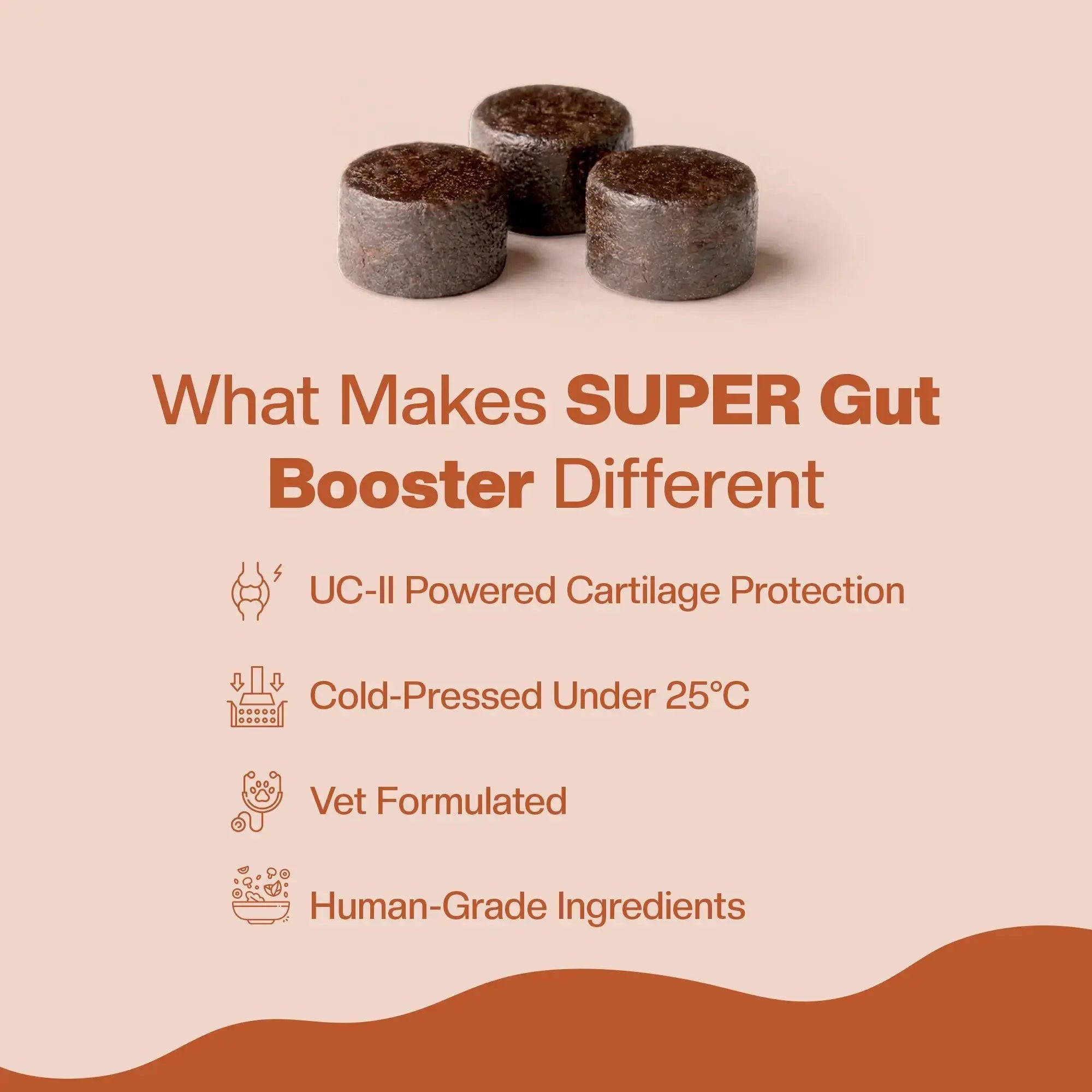 SUPER Joint Booster | Daily Supplements for Dogs