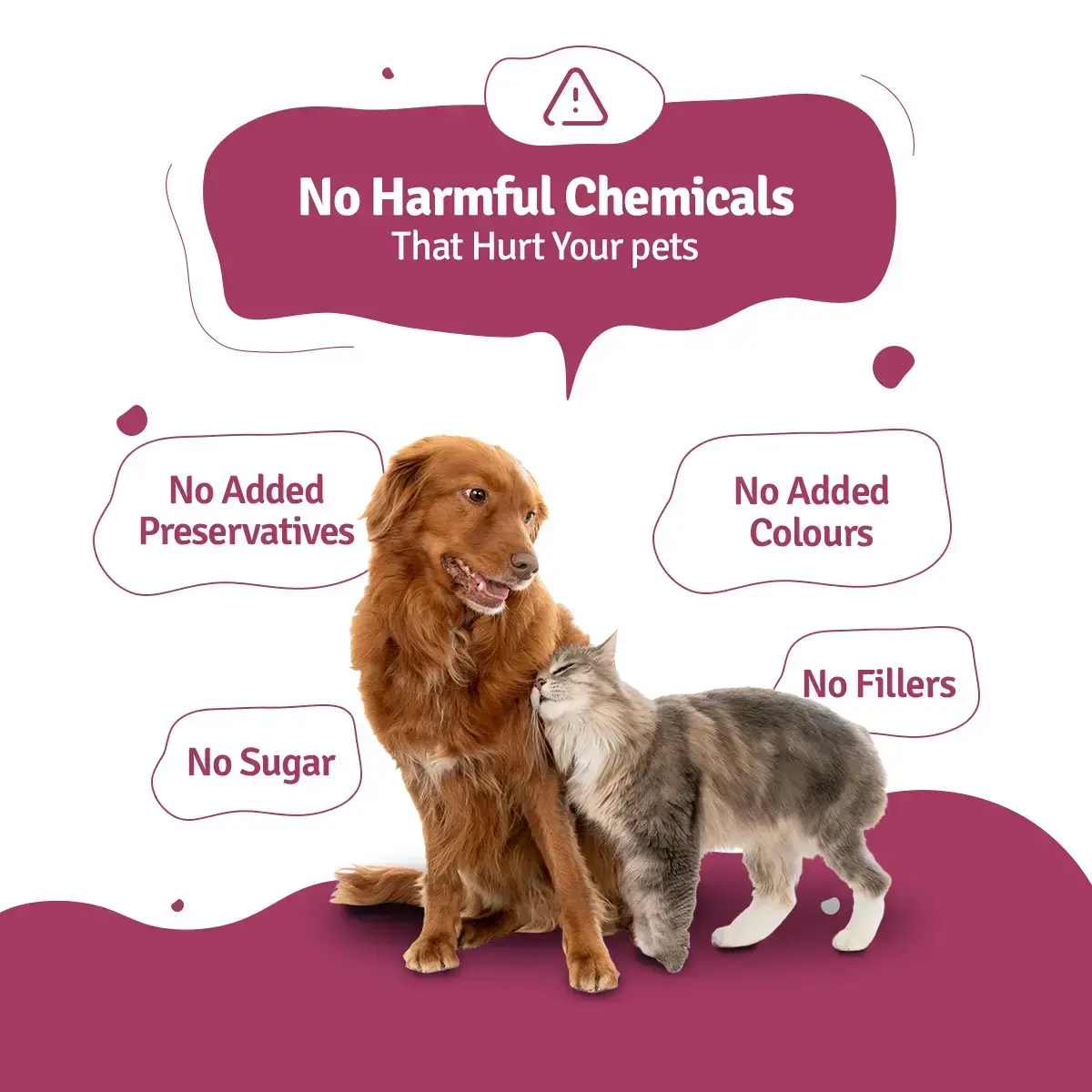 Lamb Broth for Cats & Dogs (Pack of 10&20) BlepWorld