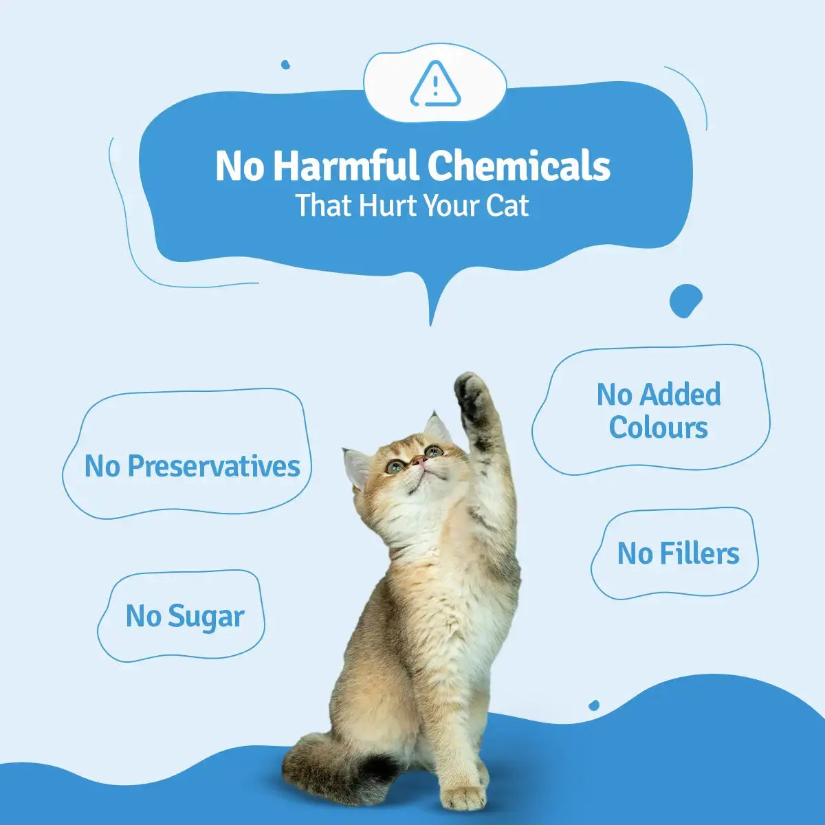 Monthly Pack of Tuna, Mackerel & Sardine Fresh Cat Food BlepWorld