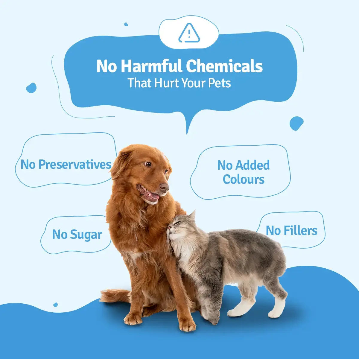 Chicken Broth for Cats & Dogs (Pack of 10&20) BlepWorld