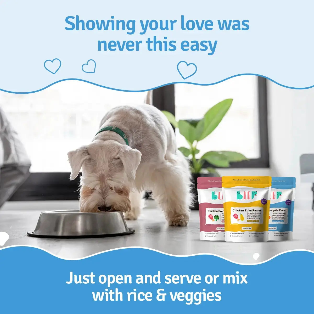 Monthly Pack of Chicken Pumpkin, Zucchini & Broccoli Fresh Dog Food BlepWorld