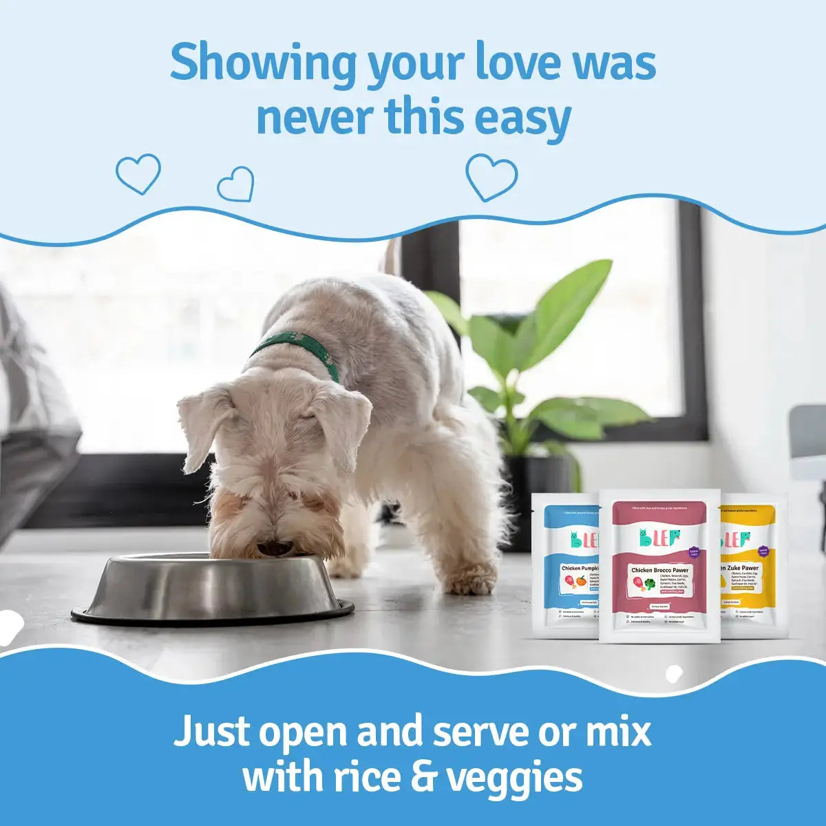 Chicken Zucchini, Pumpkin & Broccoli Fresh Dog Food - 3 packs of 100g BlepWorld