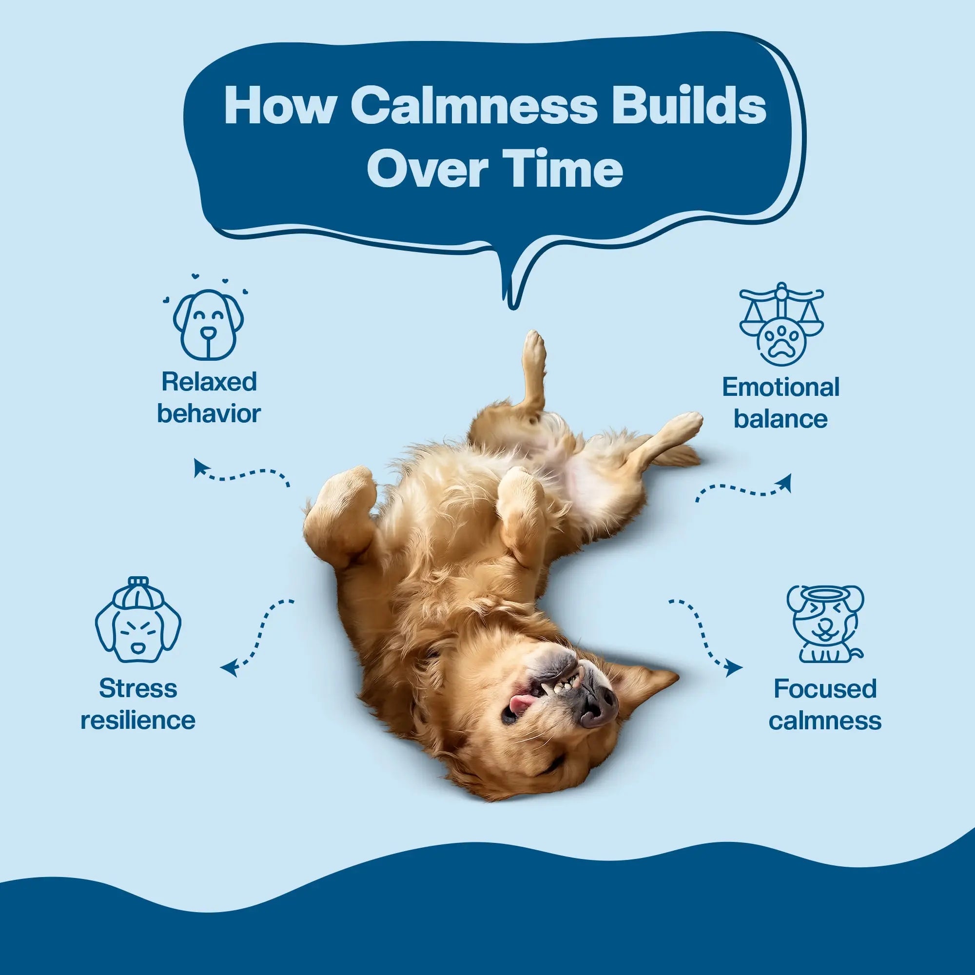 SUPER Stress Buster | Daily Supplements for Dogs