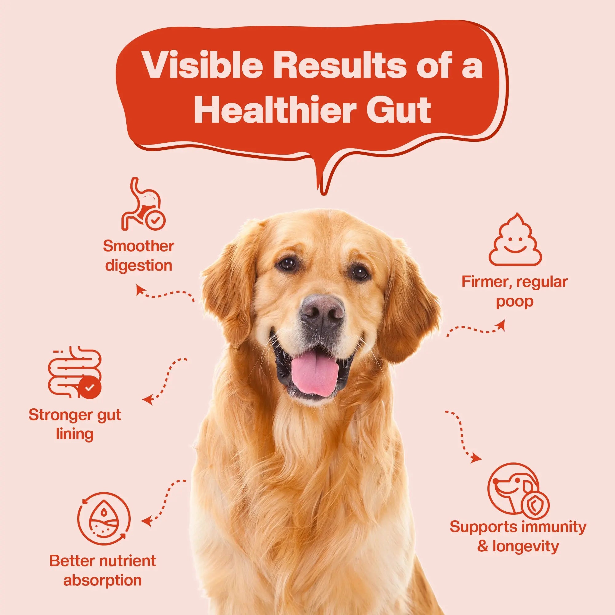 SUPER Gut Booster | Daily Supplements for Dogs BlepWorld