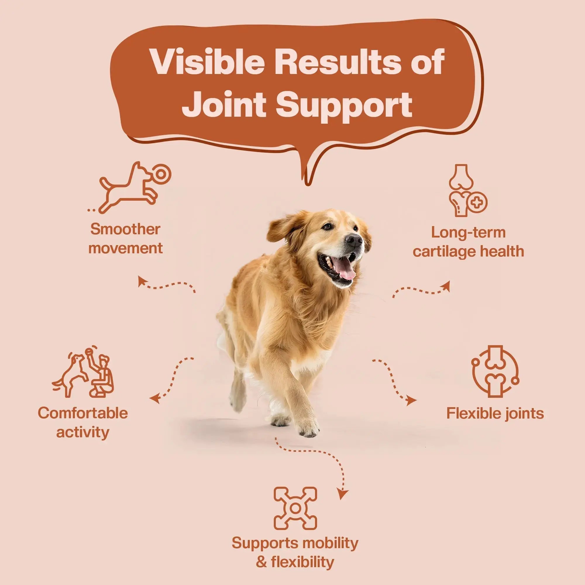 SUPER Joint Booster | Daily Supplements for Dogs