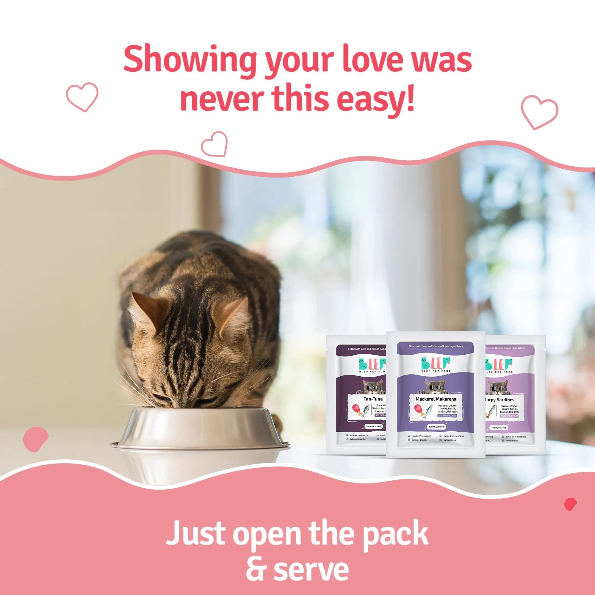 Ocean Mix Cat Food Trial Pack (Tuna, Mackerel, Sardine) BlepWorld