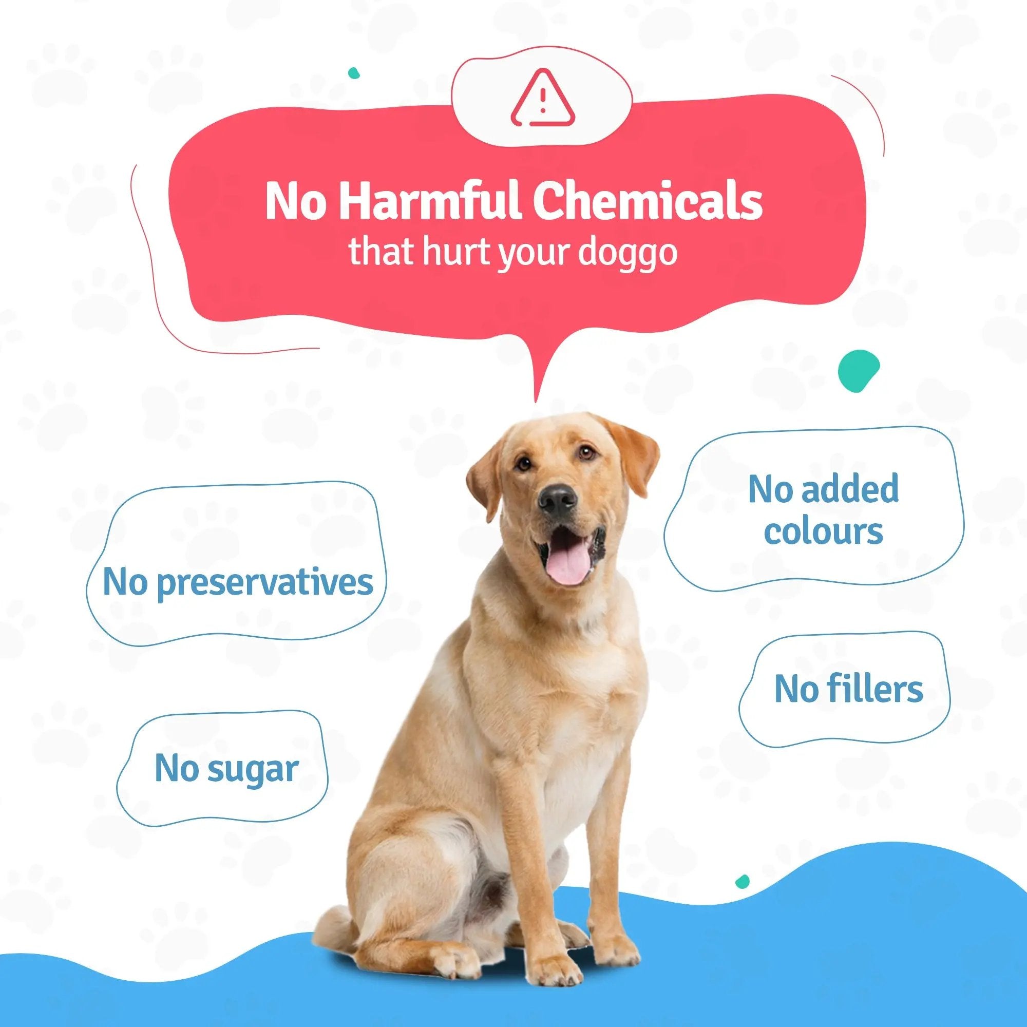 Chemical Free dog food trail pack from Blep World