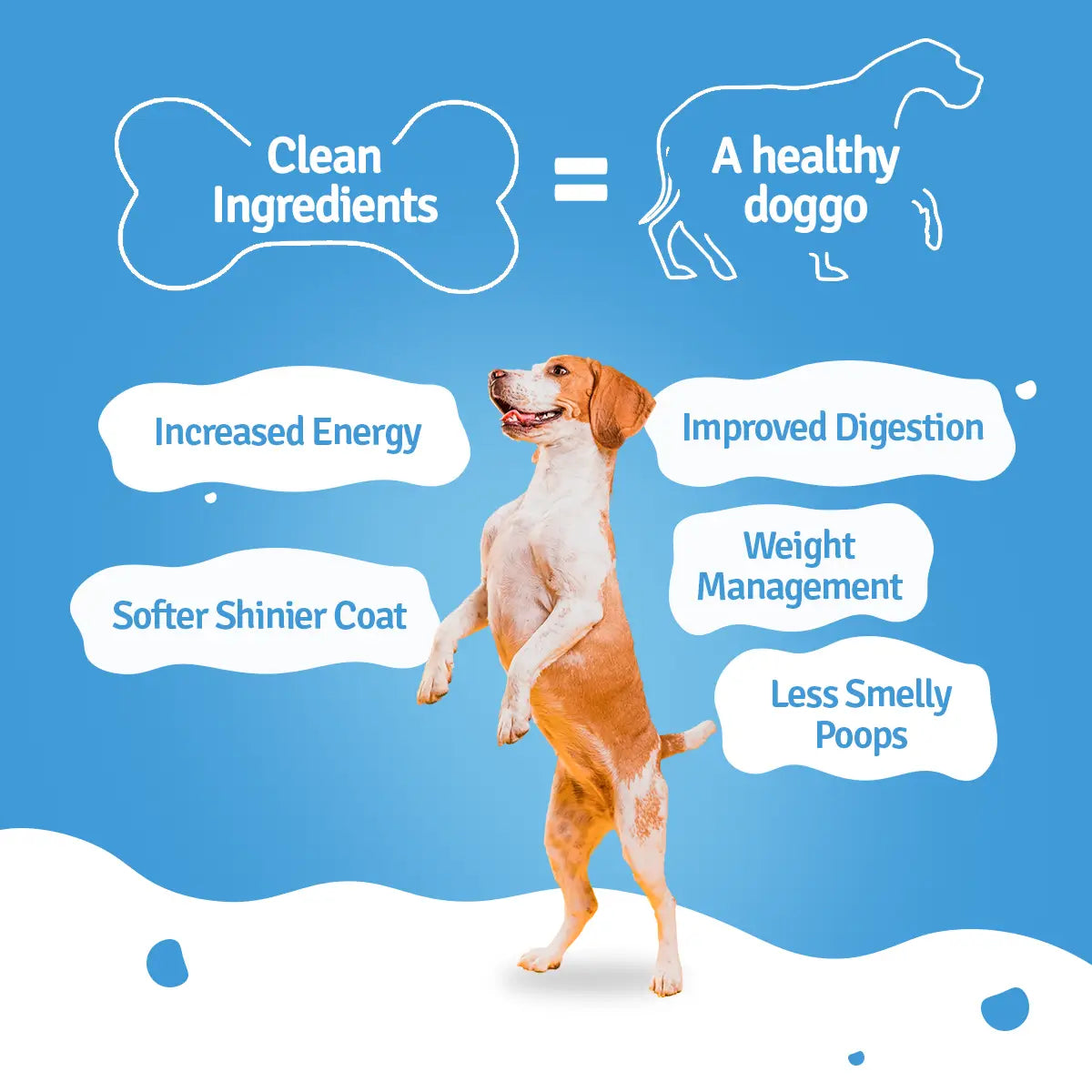 Monthly Pack of Chicken Pumpkin, Zucchini & Broccoli Fresh Dog Food