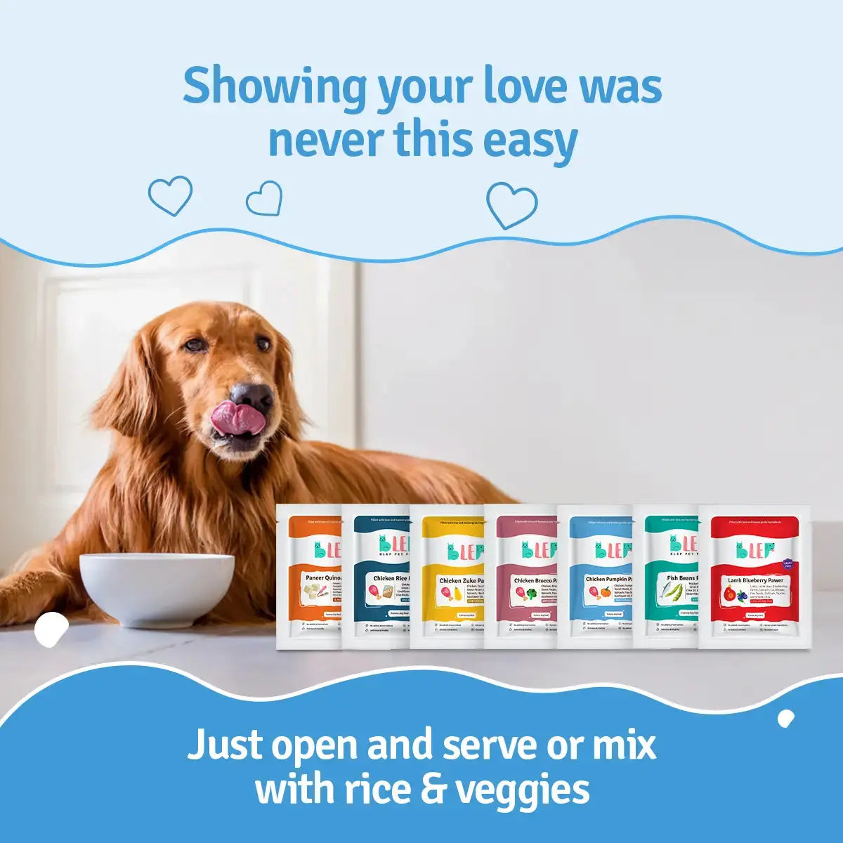 All Recipes Dog Food Trial Pack (Chicken, Lamb, Fish & Paneer) BlepWorld