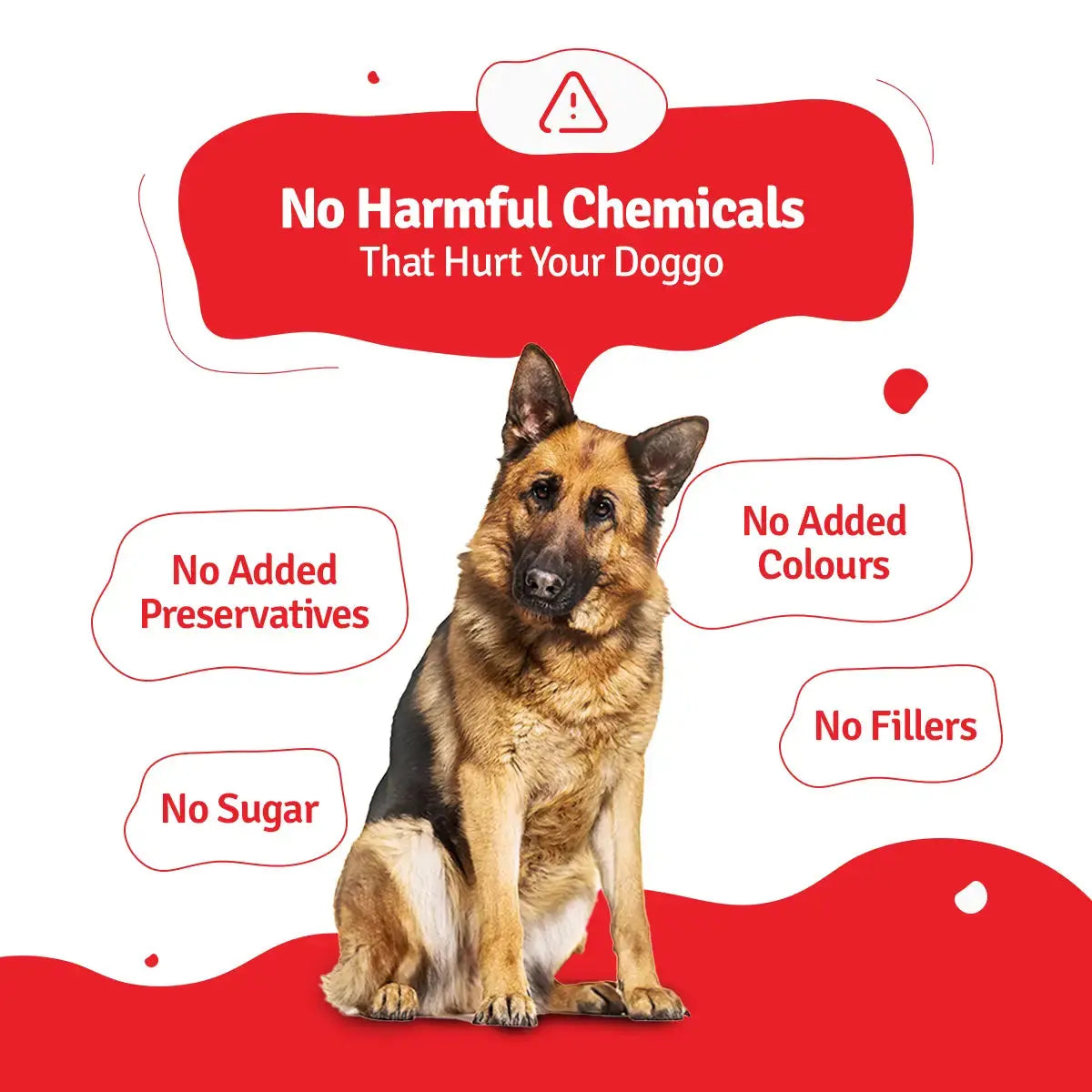 Monthly Pack of Lamb Blueberry Fresh Dog Food BlepWorld