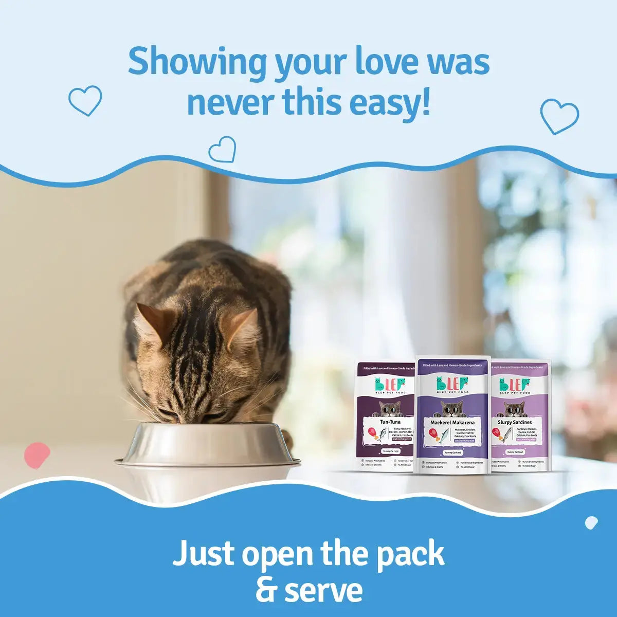 Monthly Pack of Tuna, Mackerel & Sardine Fresh Cat Food BlepWorld