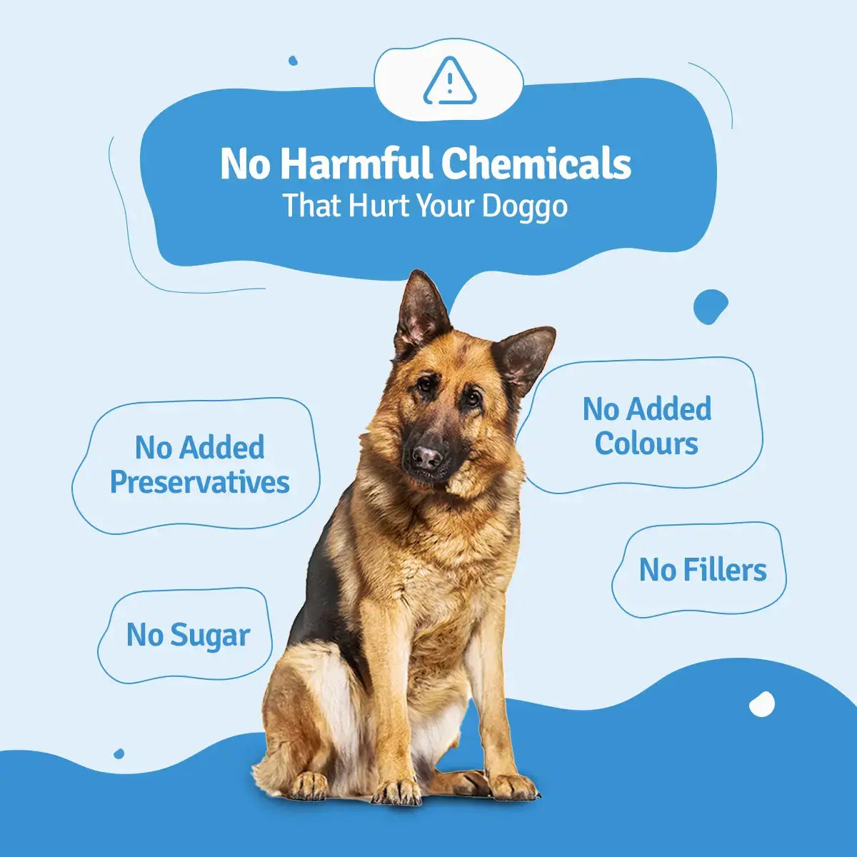 Lamb Blueberry Fresh Dog Food - Zero Preservatives BlepWorld