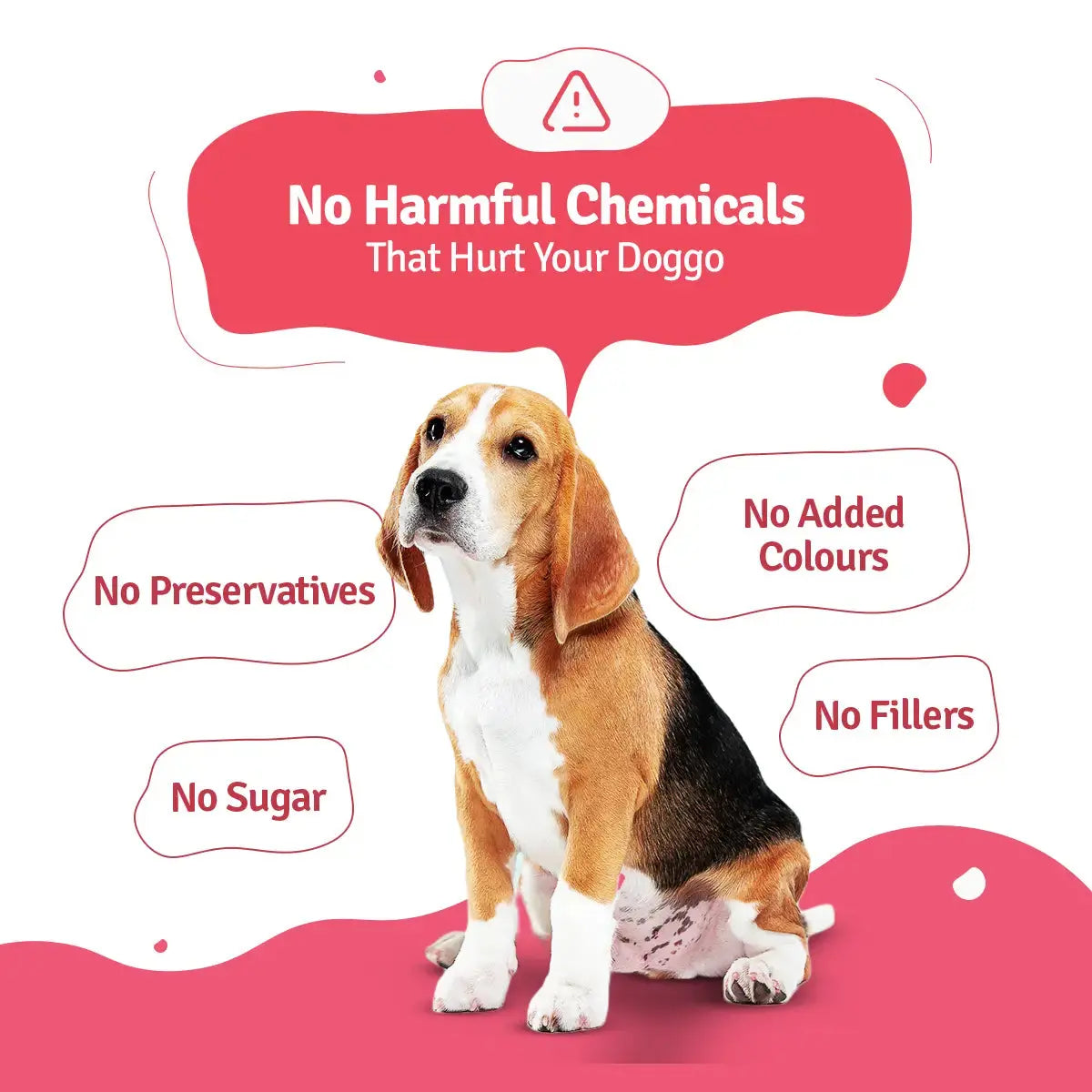 Monthly Pack of Chicken Broccoli Fresh Dog Food BlepWorld