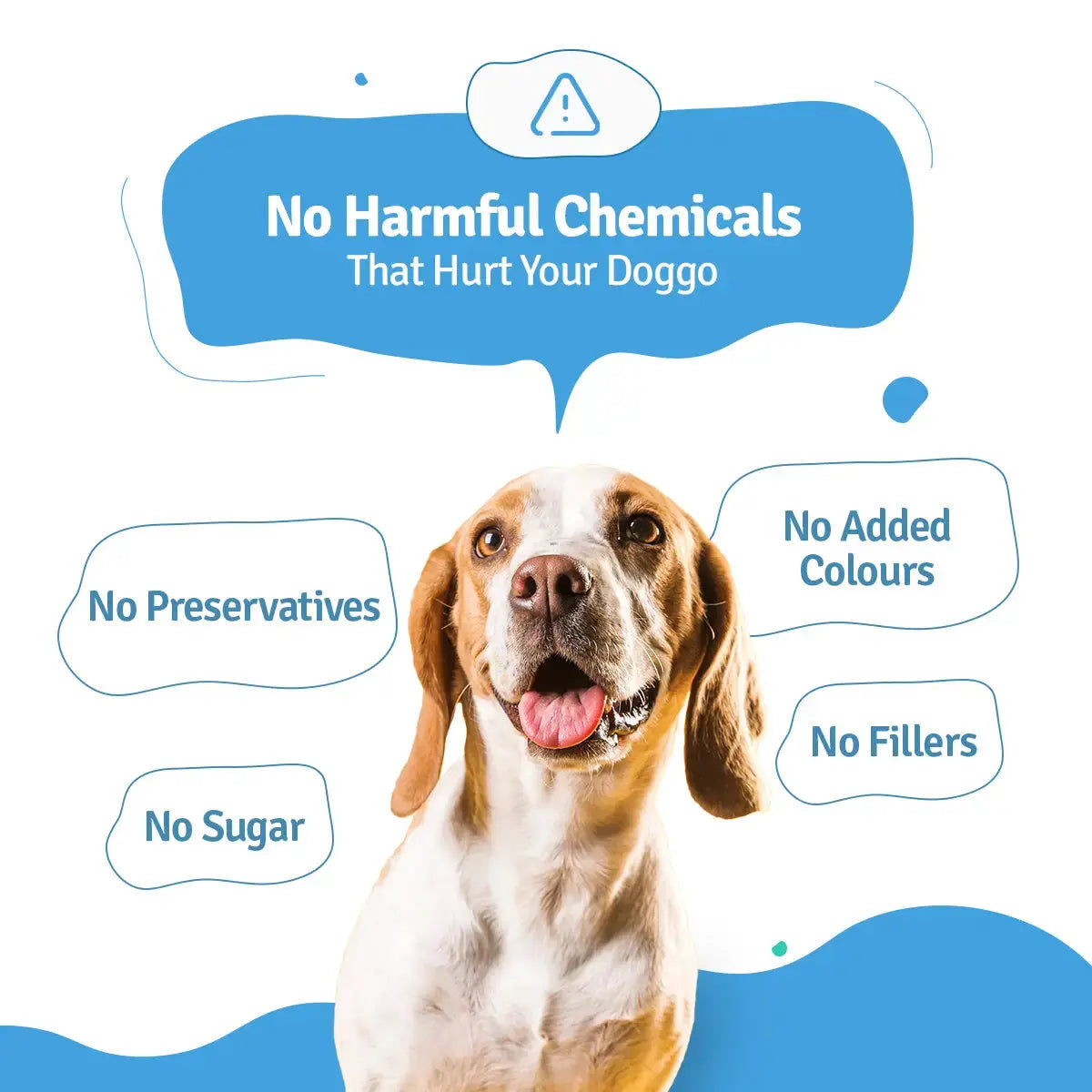 Monthly Pack of Chicken Pumpkin Fresh Dog Food BlepWorld