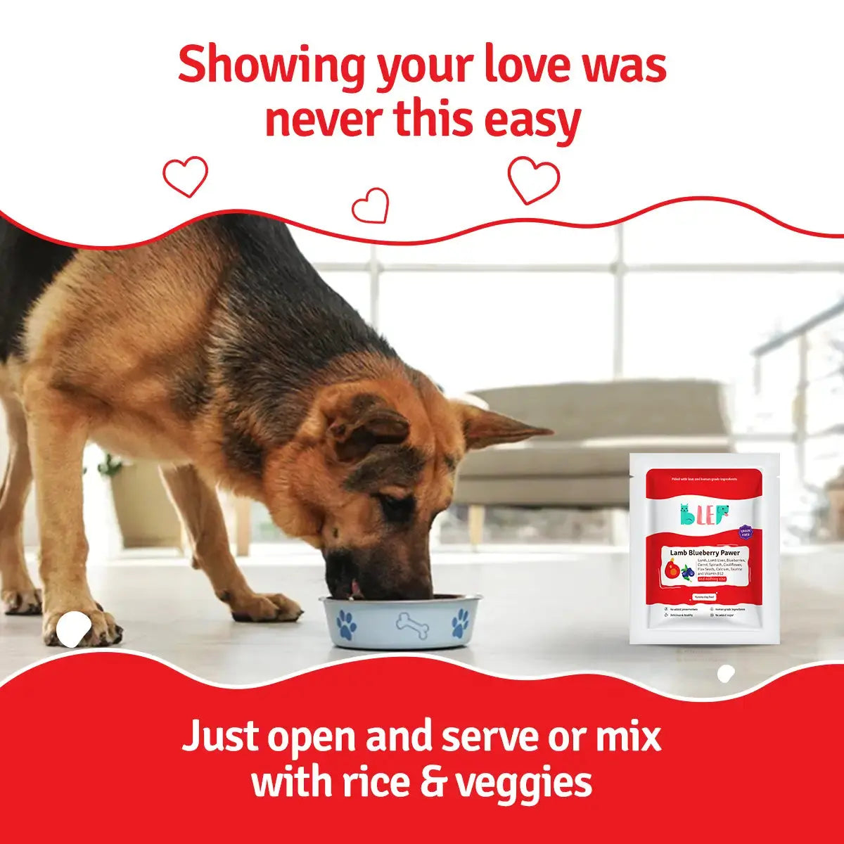 Lamb Blueberry Dog Food Trial Pack BlepWorld