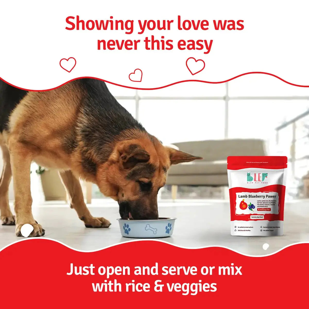 Monthly Pack of Lamb Blueberry Fresh Dog Food BlepWorld