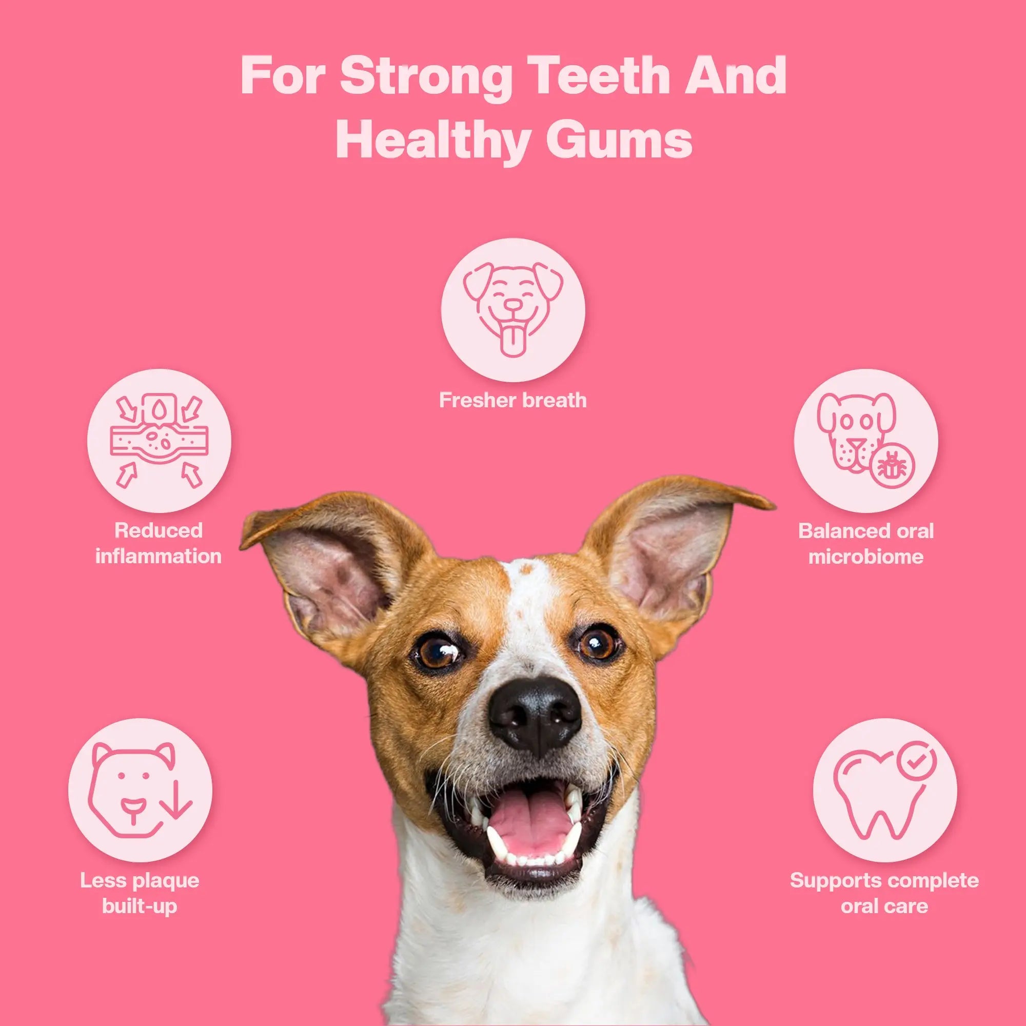 SUPER Oral Care | Daily Supplements for Dogs