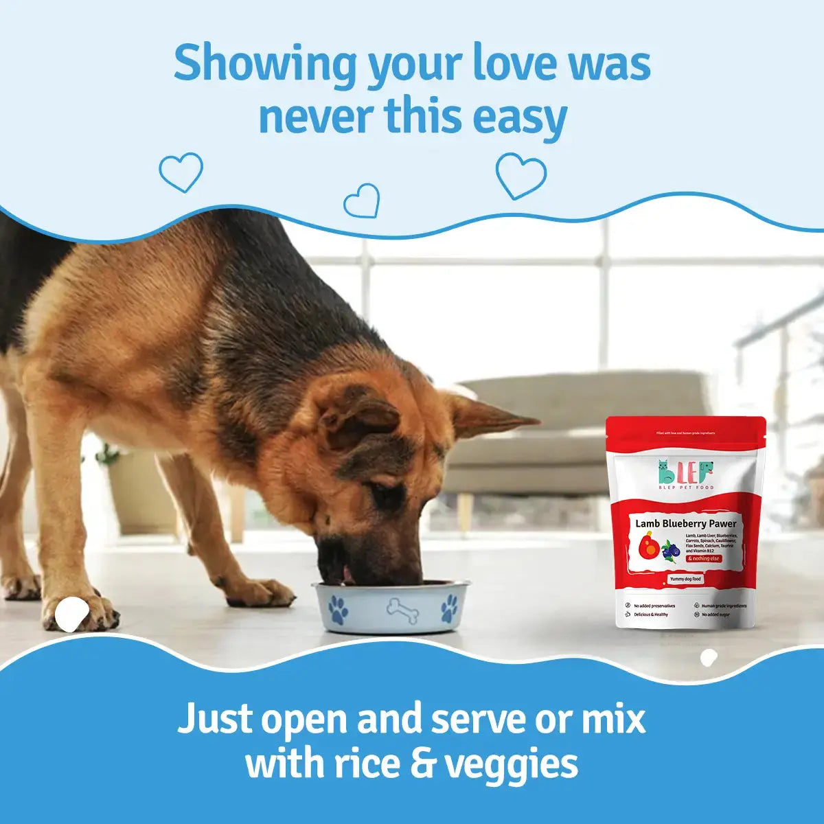 Lamb Blueberry Fresh Dog Food - Zero Preservatives BlepWorld