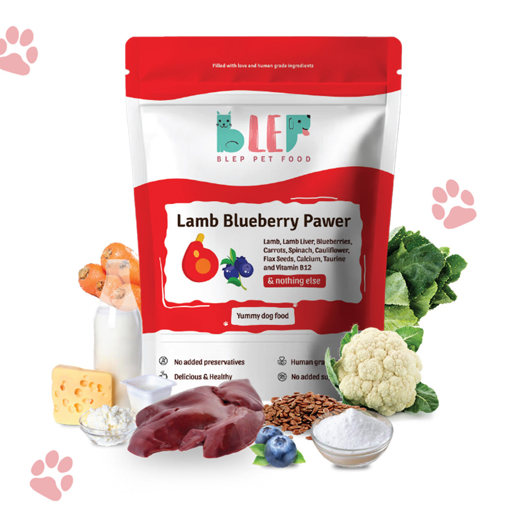 Buy Lamb Blueberry Fresh Dog Food Online BLEP World