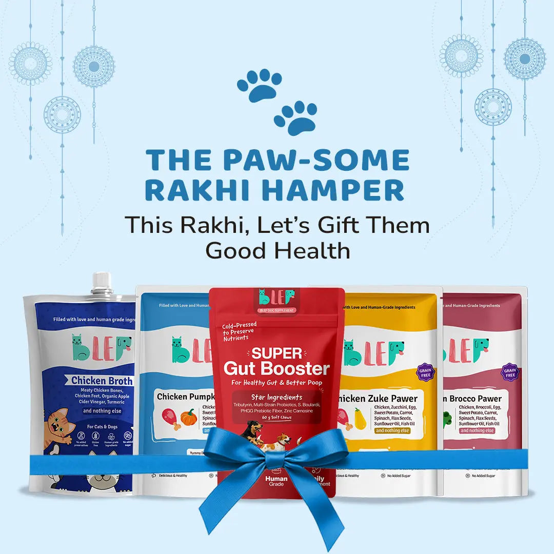 The Gut Care Rakhi Hamper
