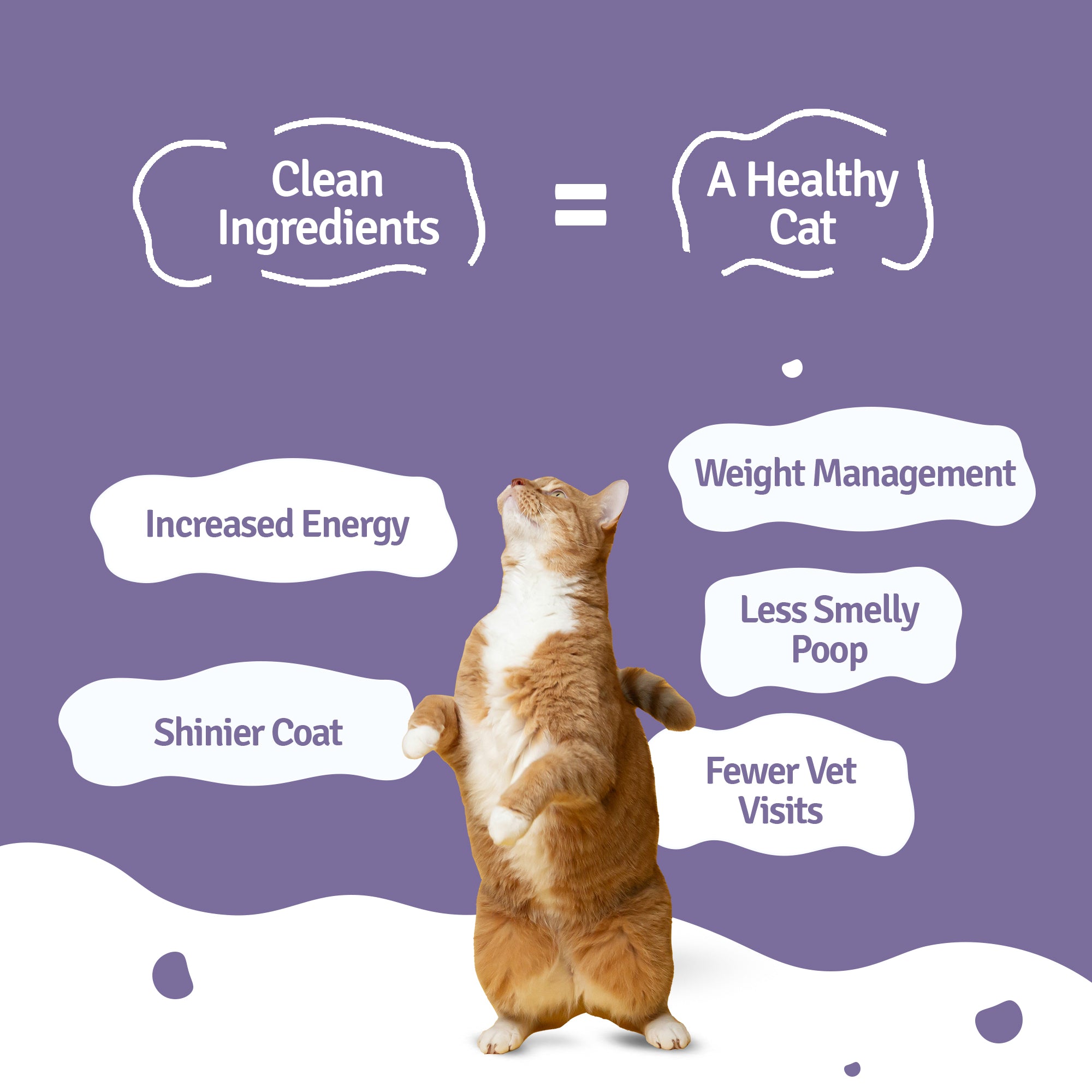 Monthly Pack of Mackerel Makarena Fresh Cat Food - 21 Packs of 100g